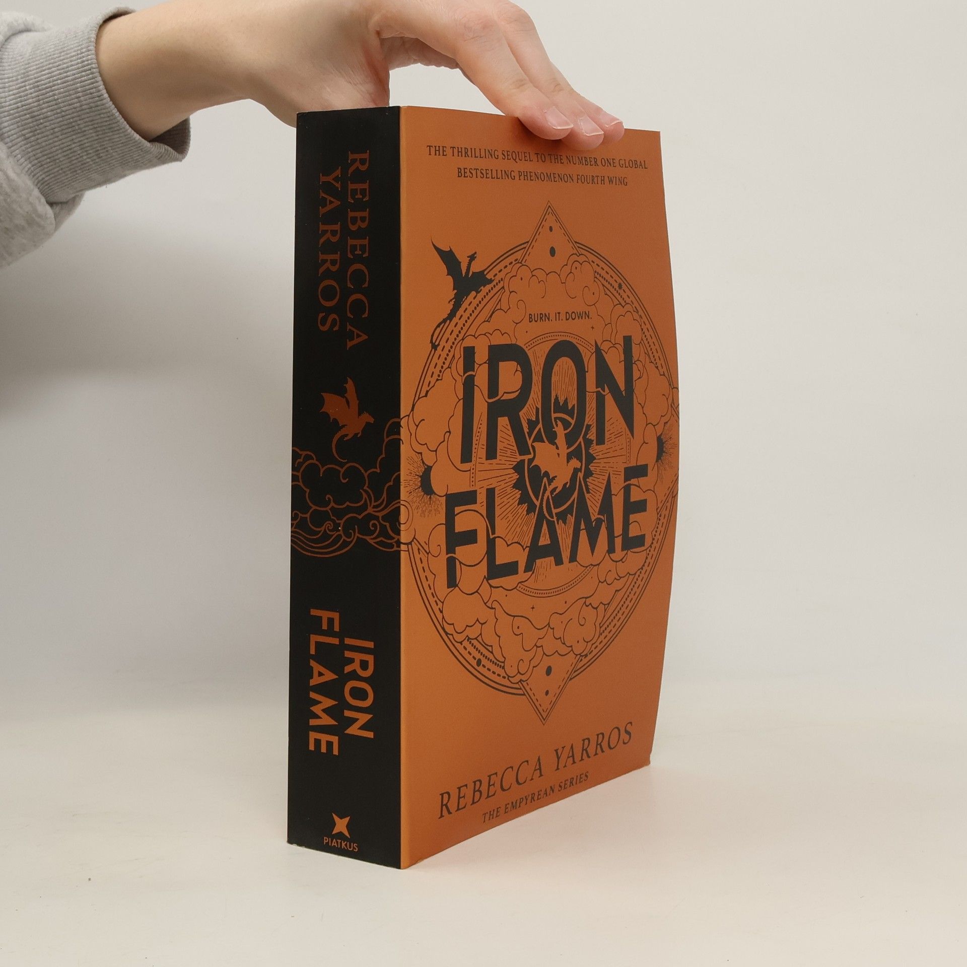 Iron Flame
