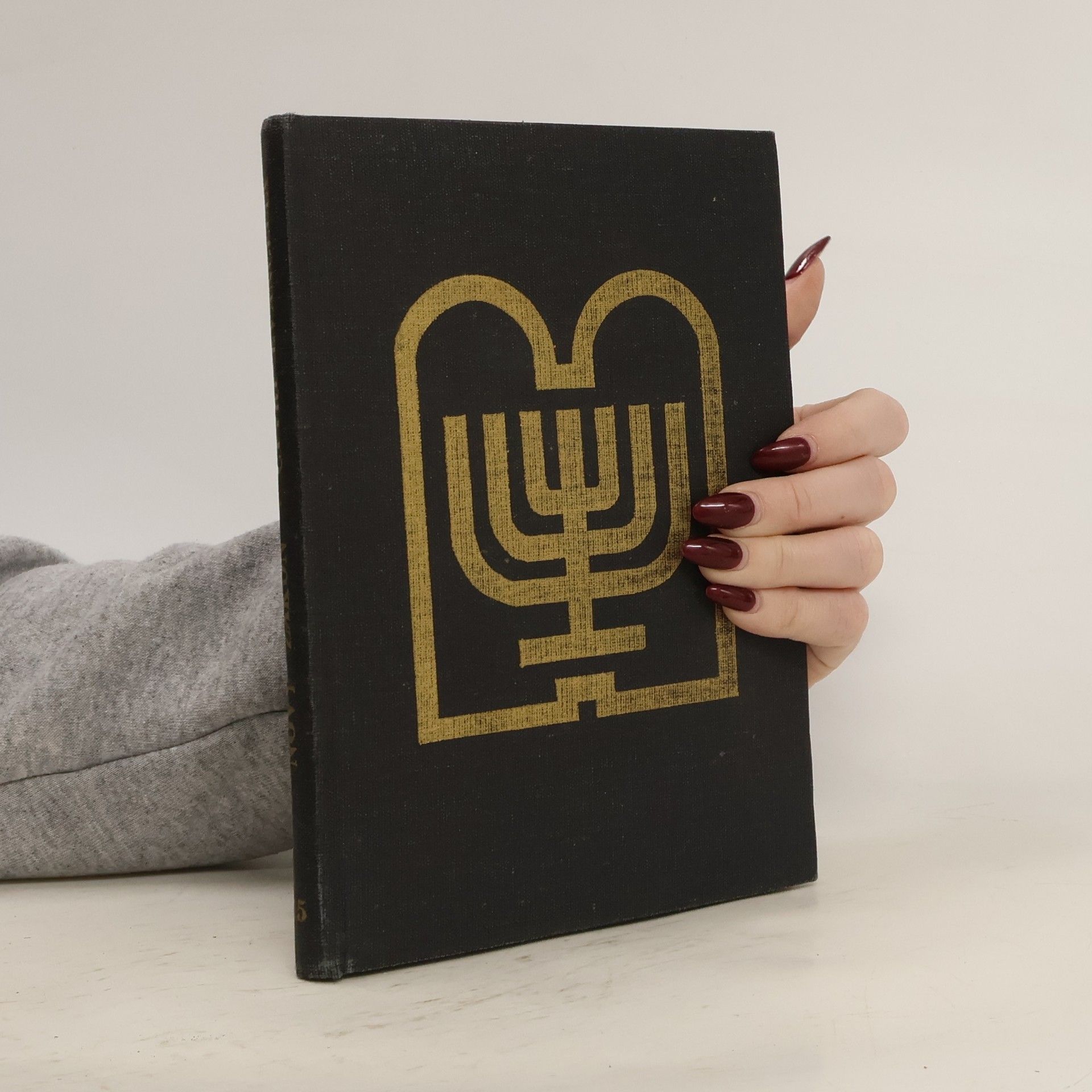 Collectif d'auteurs Nový zákon