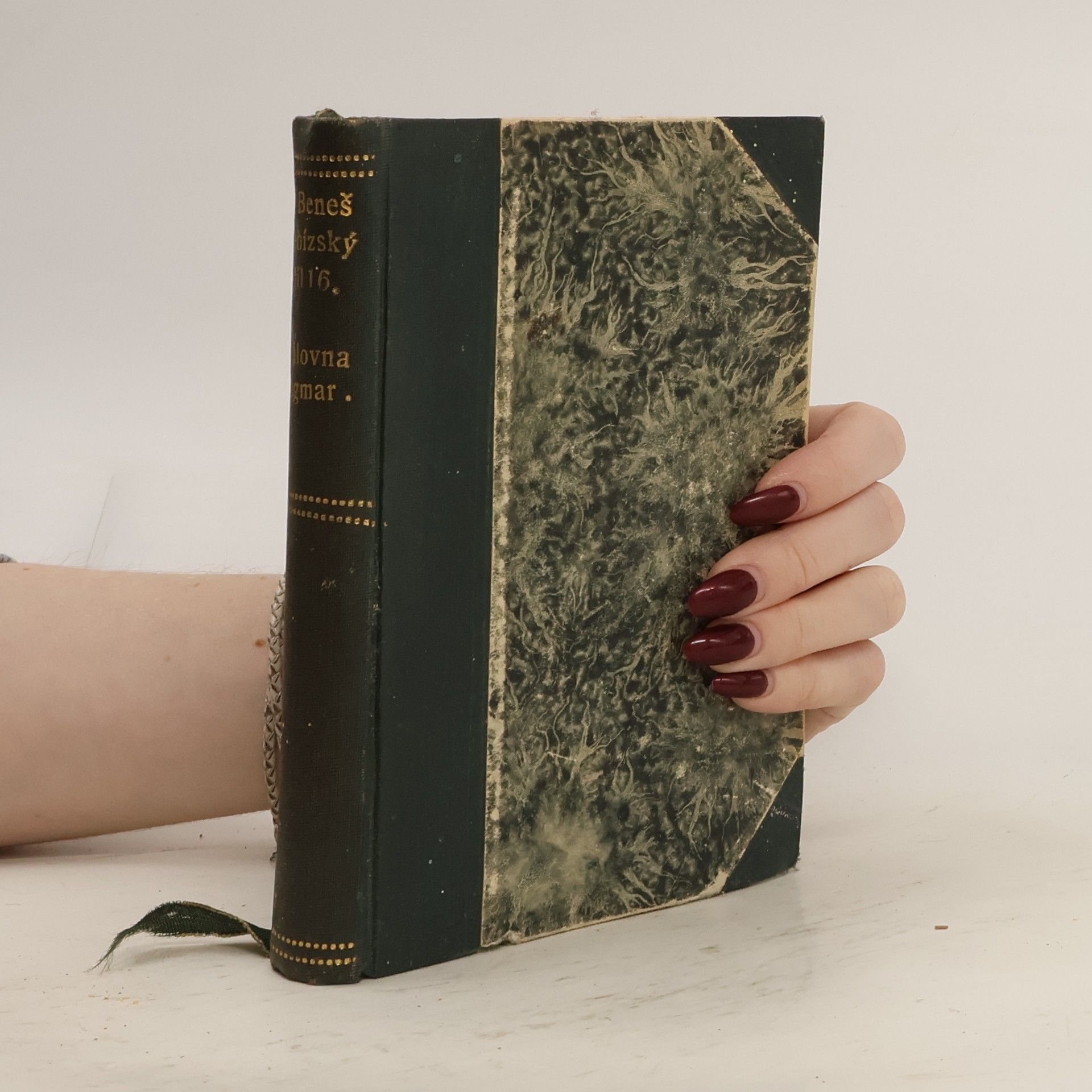 Václav Beneš Třebízský Královna Dagmar