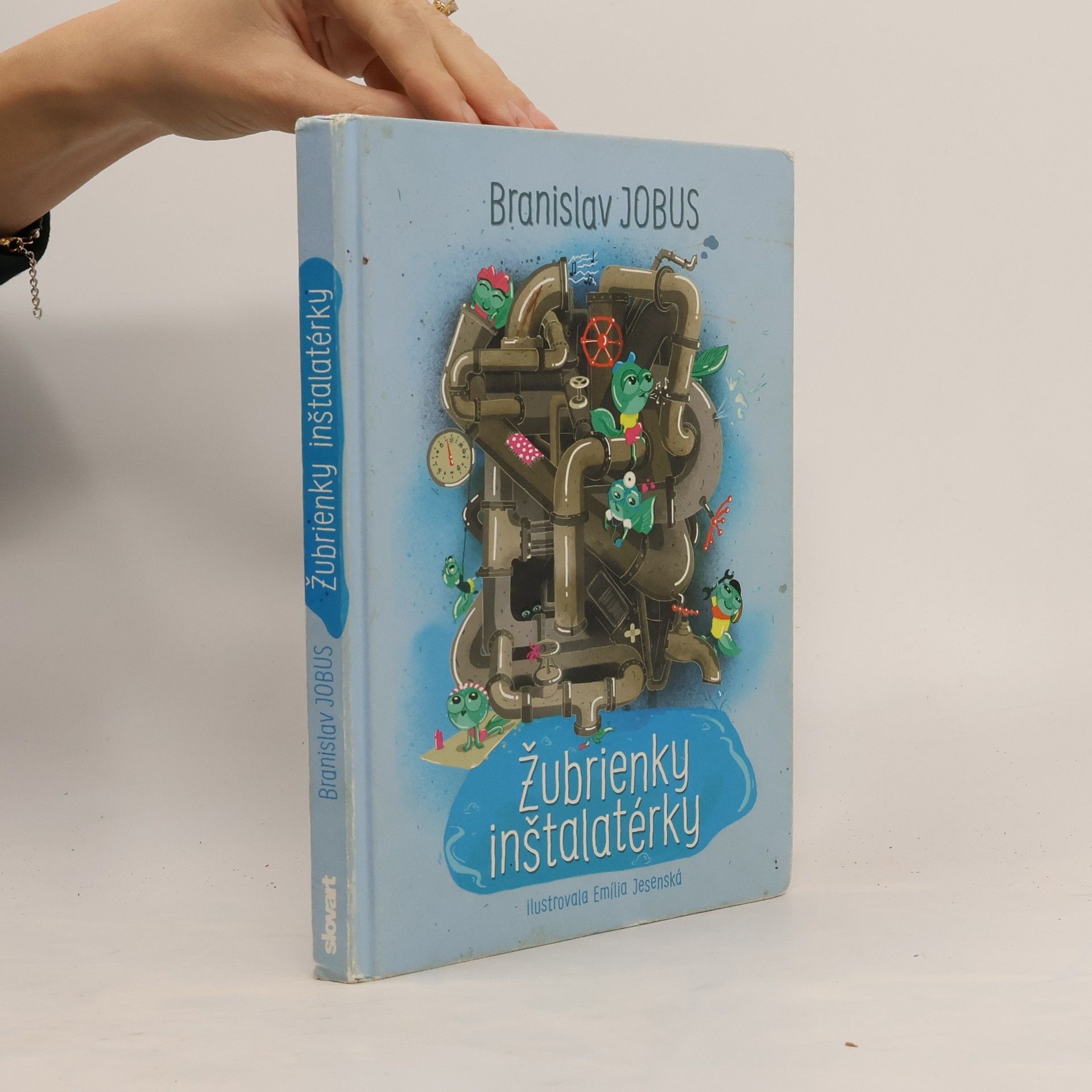 Branislav Jobus Žubrienky inštalatérky