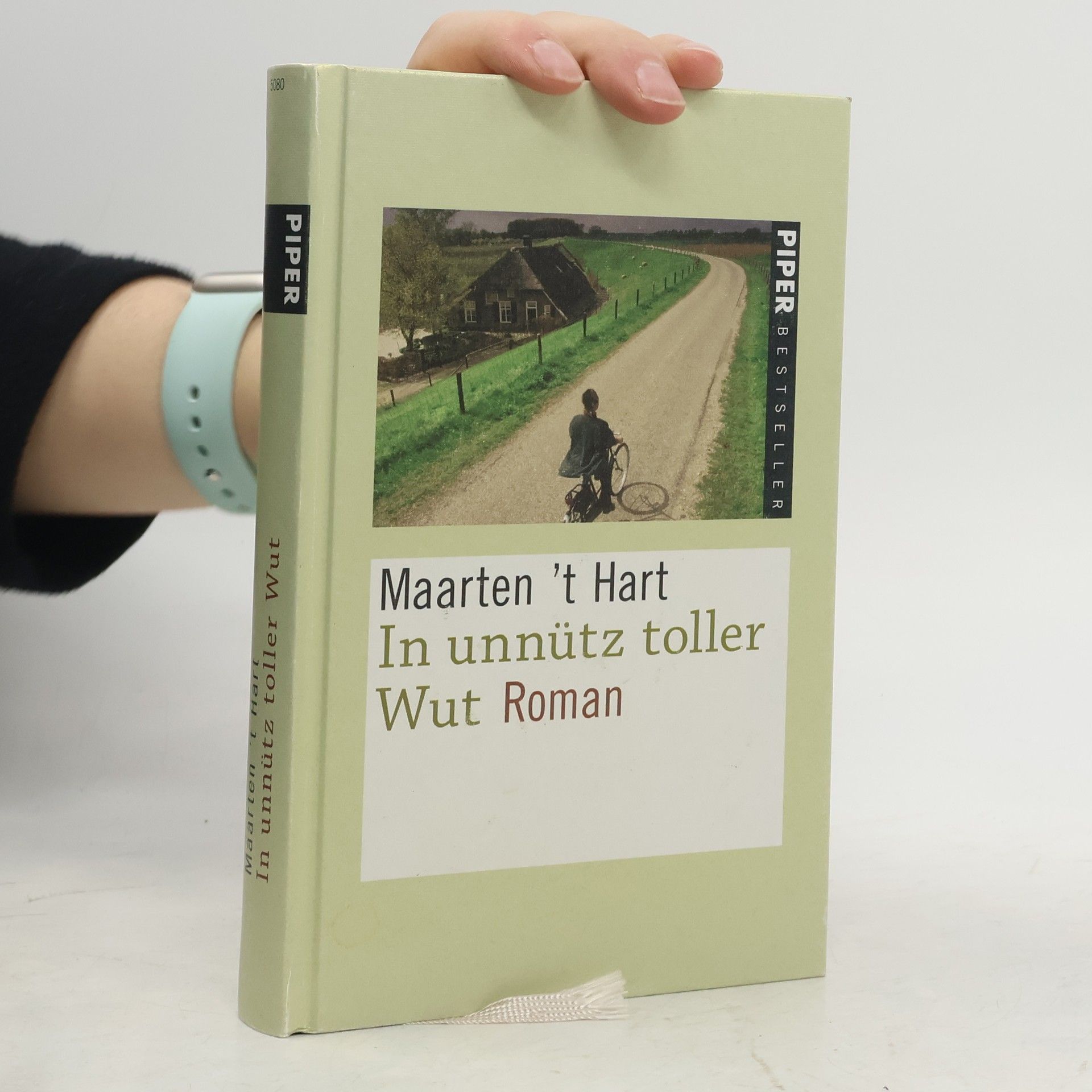 Maarten 't Hart In unnütz toller Wut