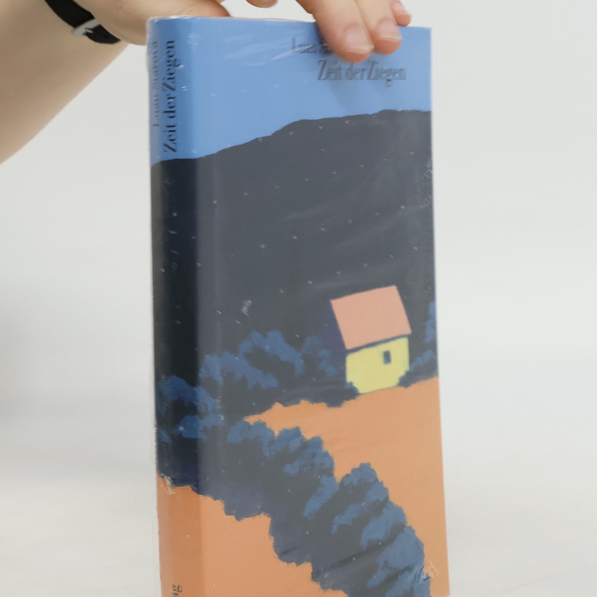 Luan Starova Zeit der Ziegen