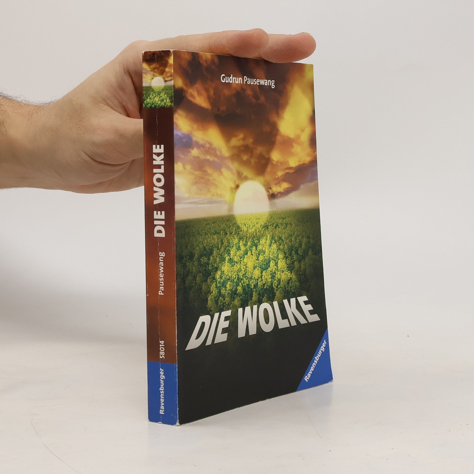 Gudrun Pausewang Die Wolke