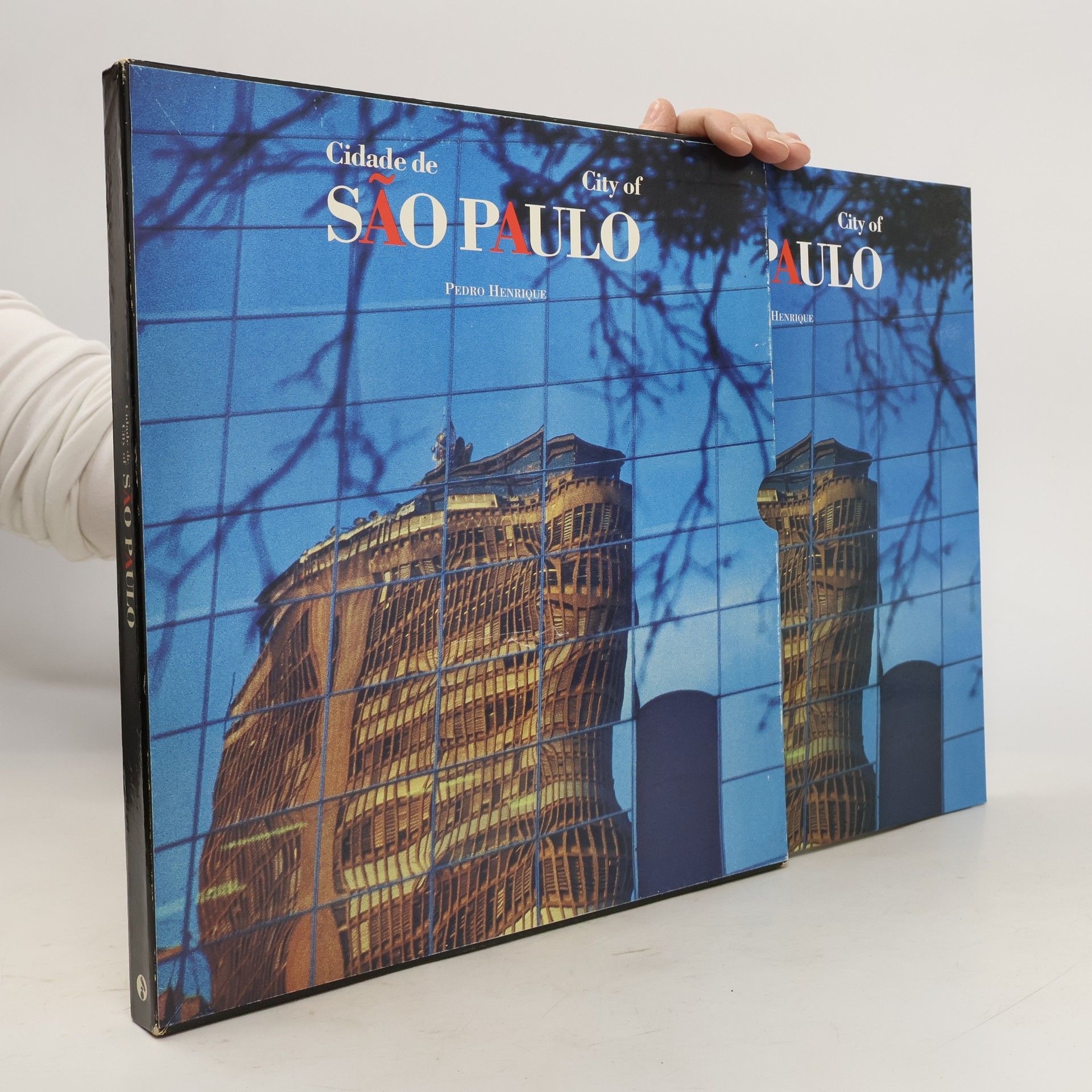 Pedro Henrique City of São Paulo