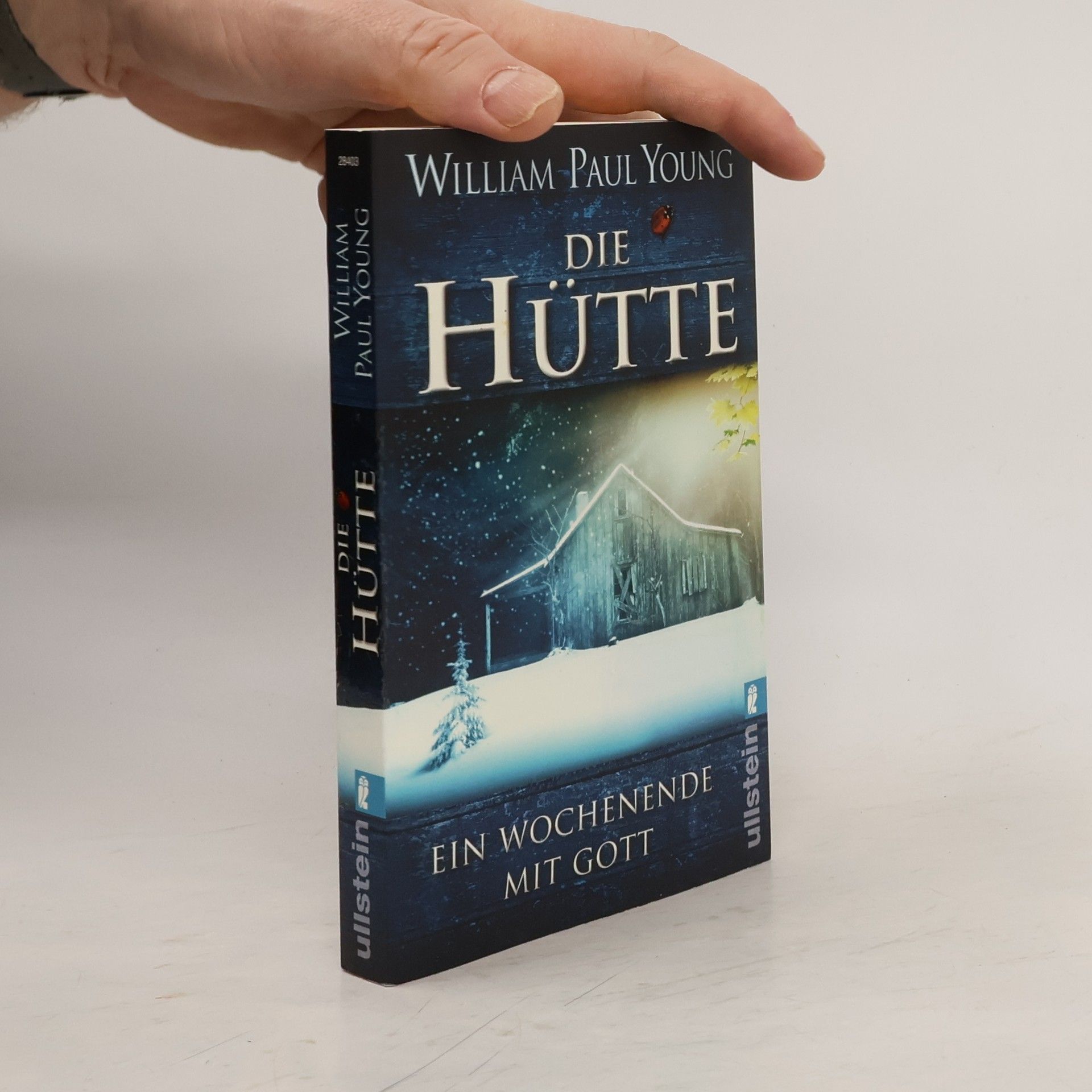 William P. Young Die Hütte