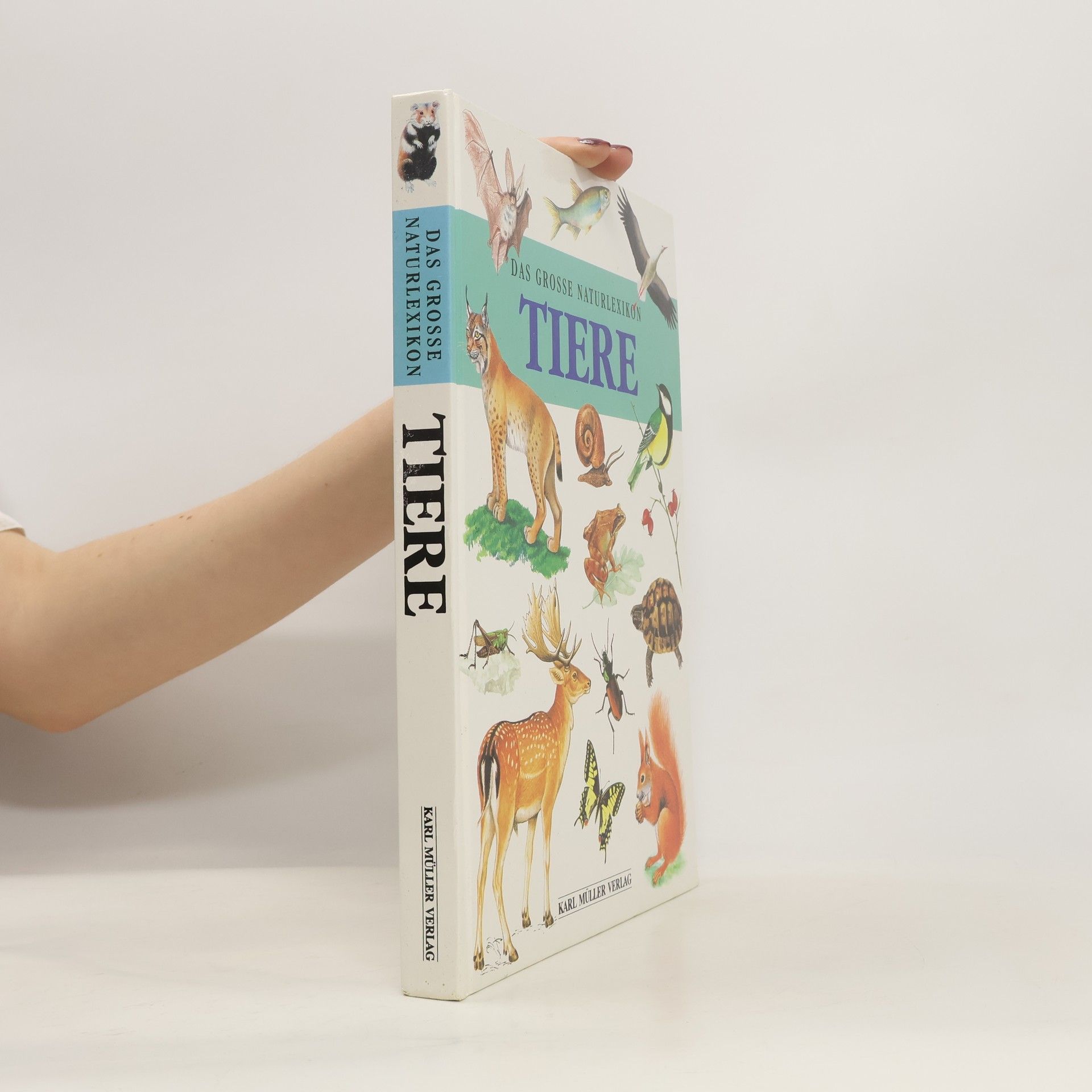 Autorenkollektiv Das grosse Naturlexikon Tiere