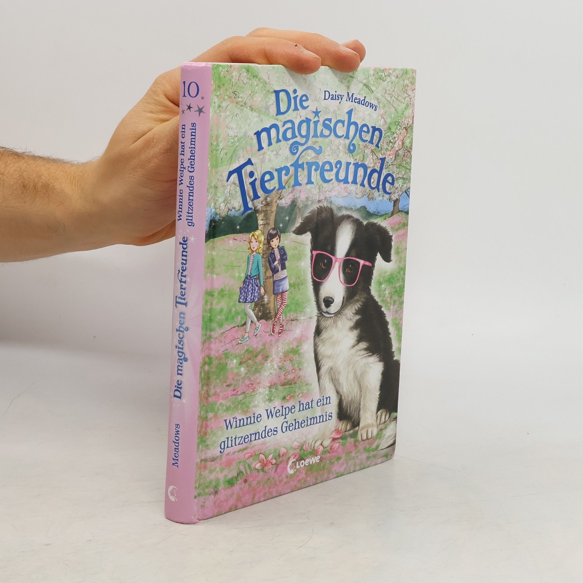 Daisy Meadows Winnie Welpe hat ein glitzerndes Geheimnis