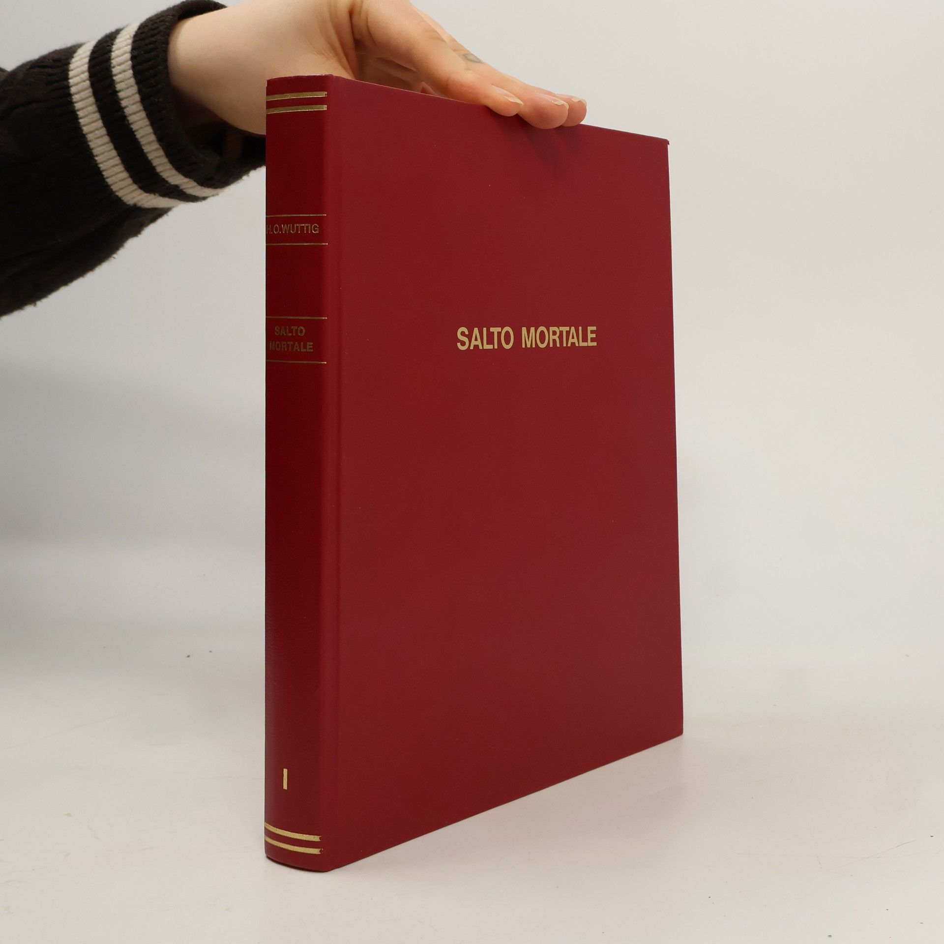 Autorenkollektiv Salto mortale