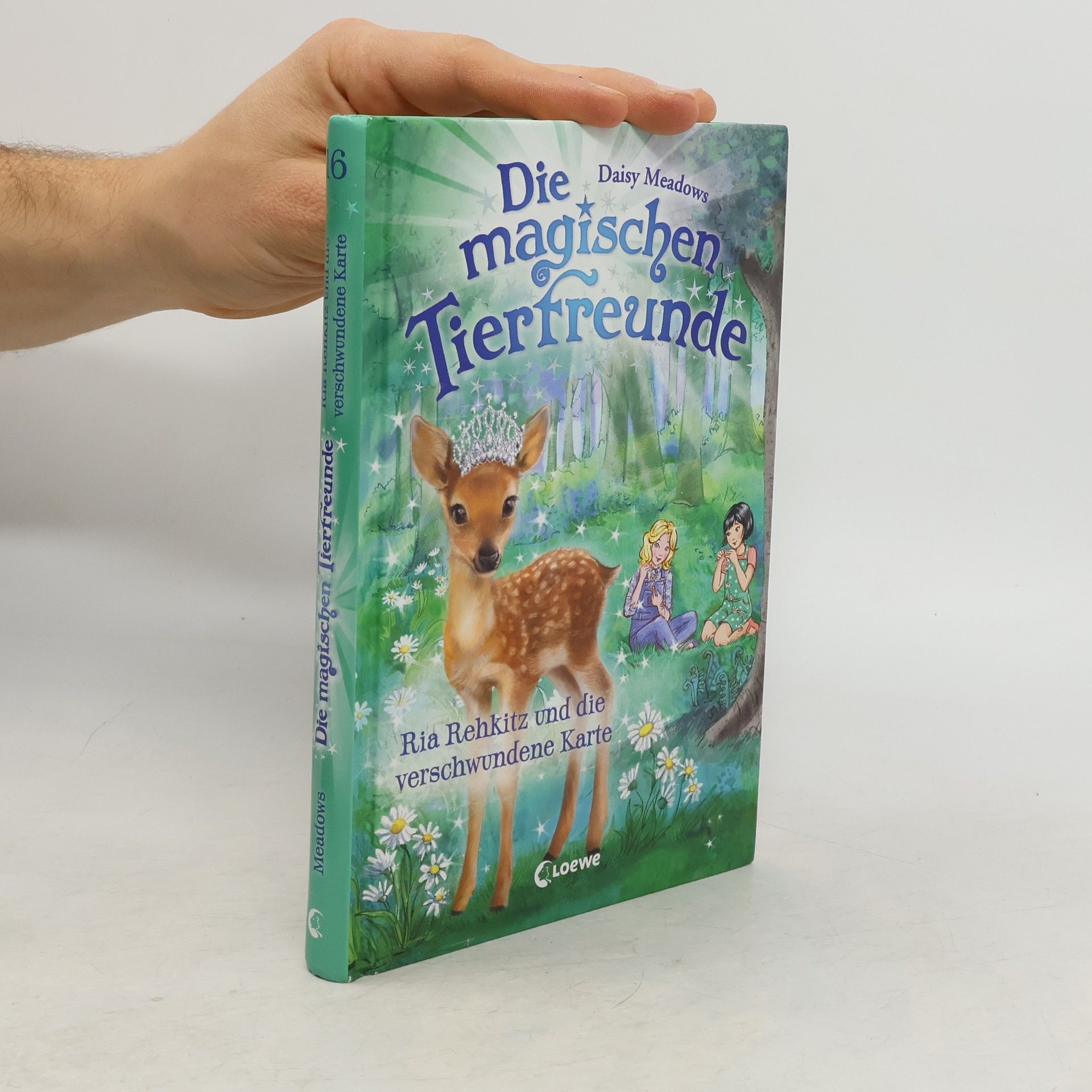 Daisy Meadows Die magischen Tierfreunde 16. Ria Rehkitz und die verschwundene Karte
