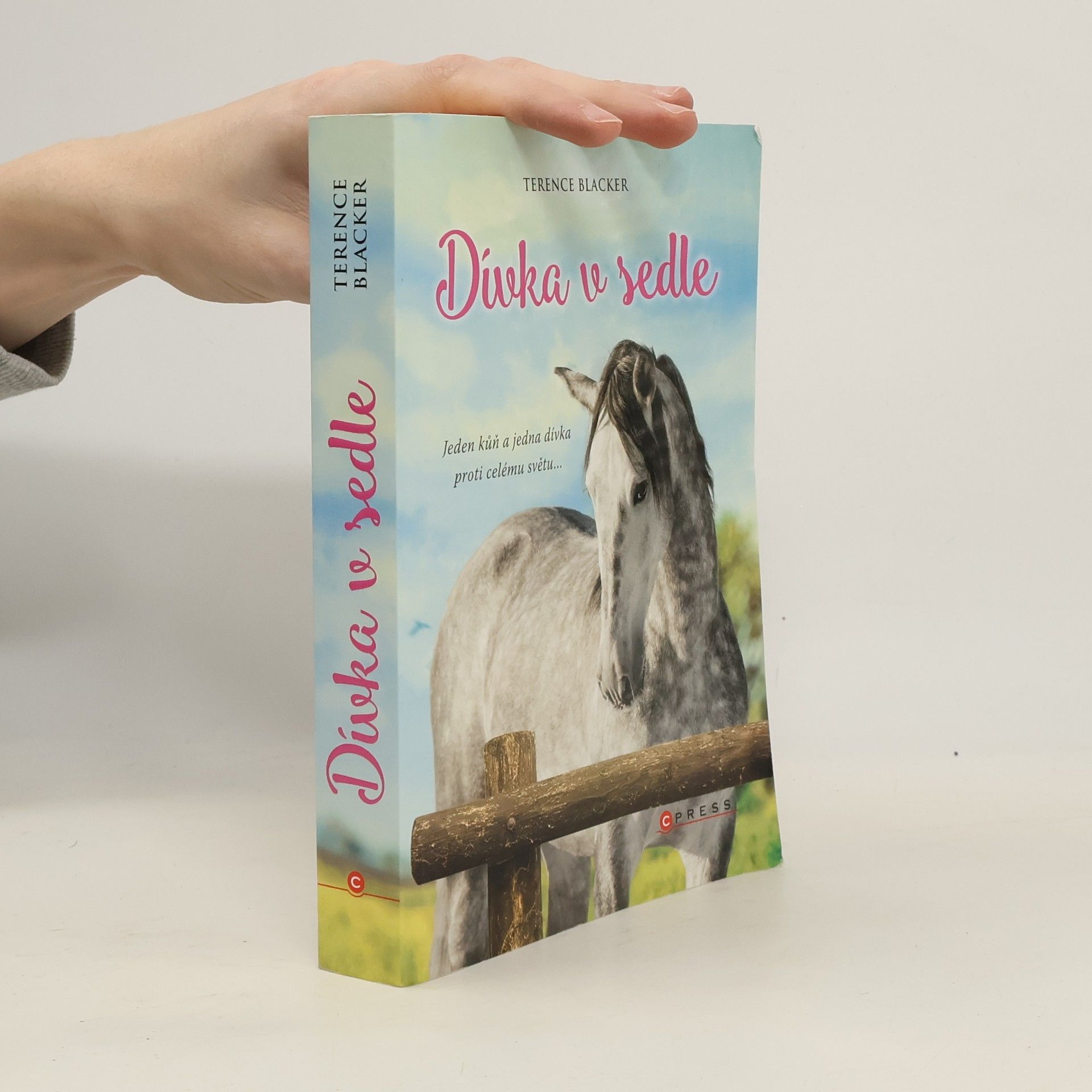 Terence Blacker Dívka v sedle
