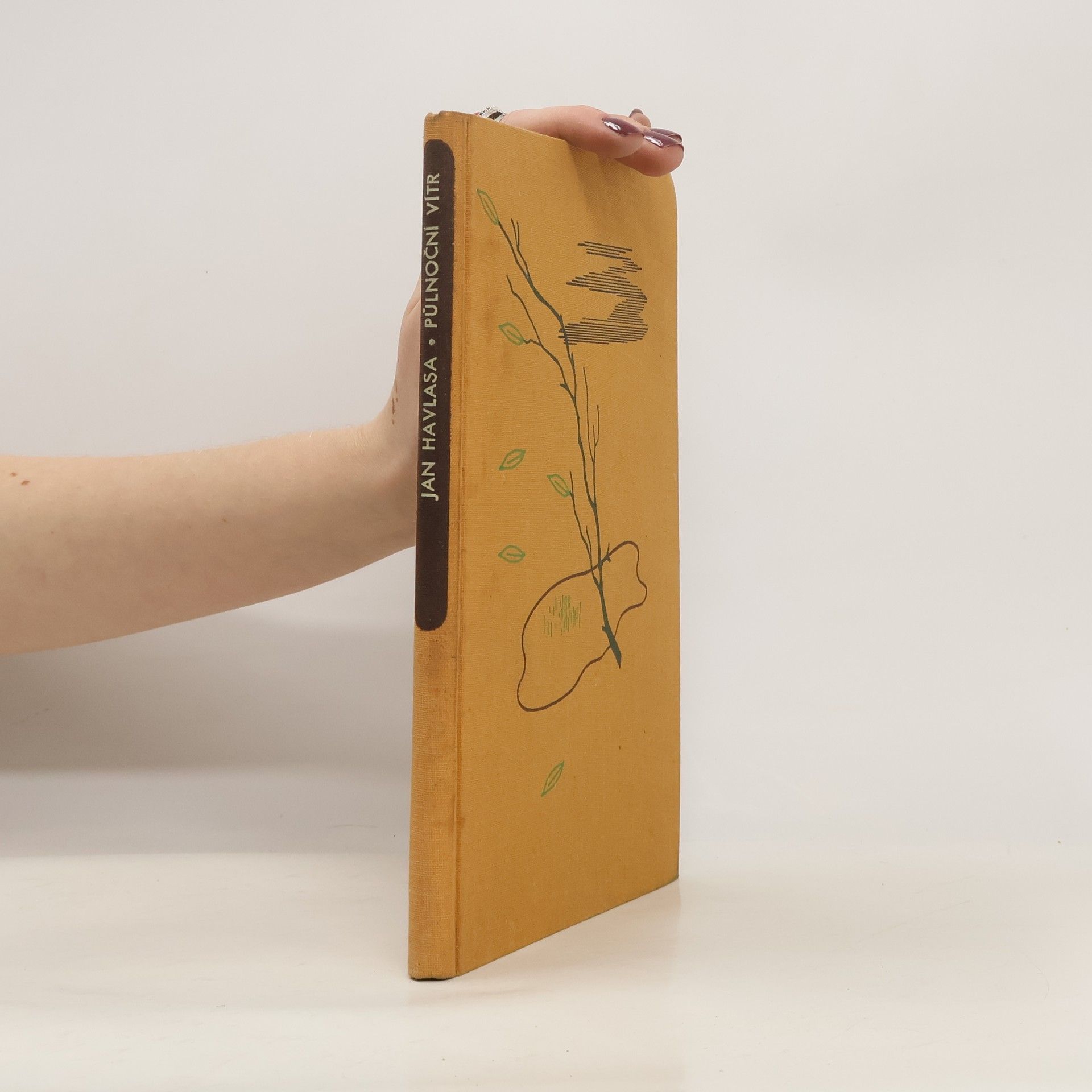 Jan Havlasa Půlnoční vítr