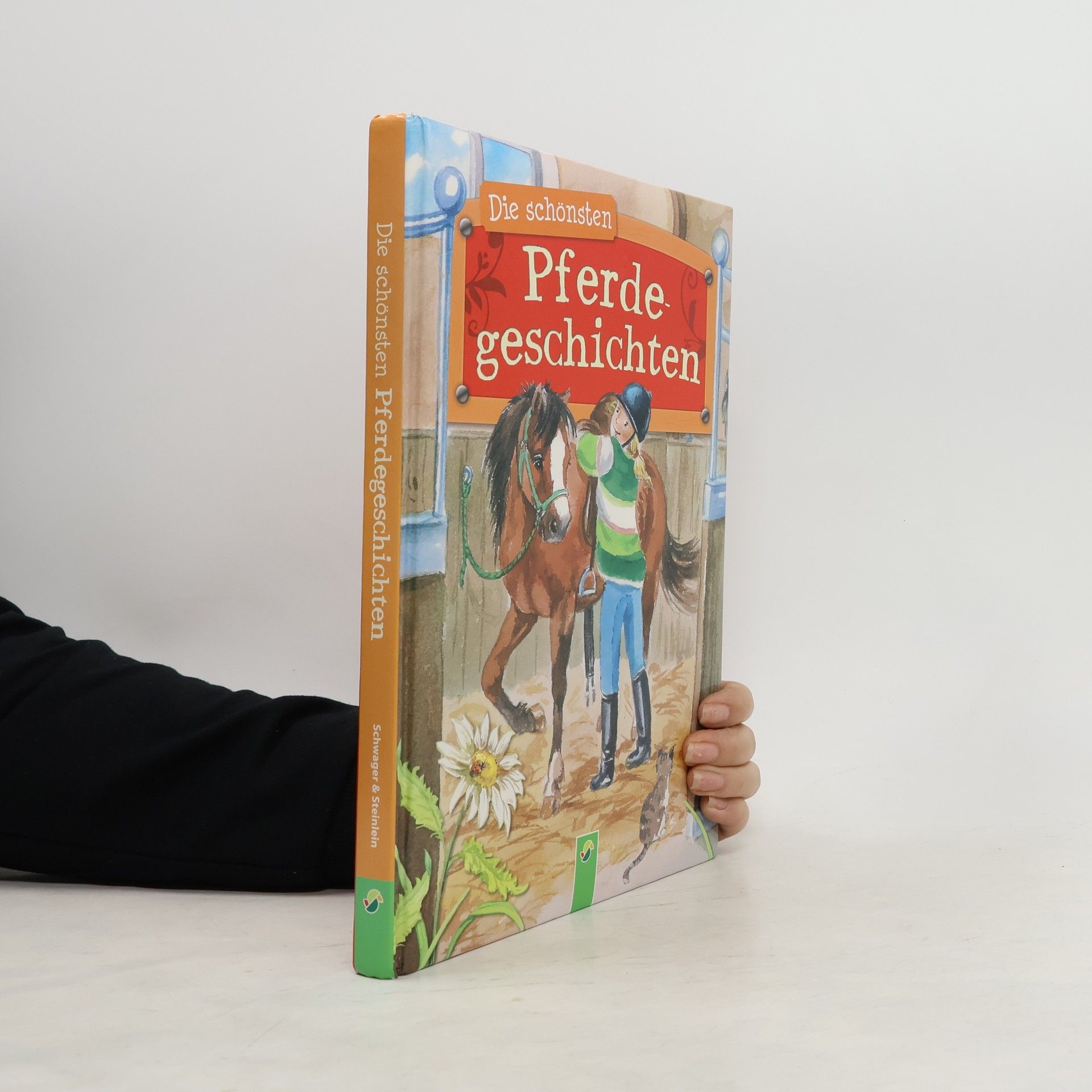 Autorenkollektiv Die schönsten Pferdegeschichten