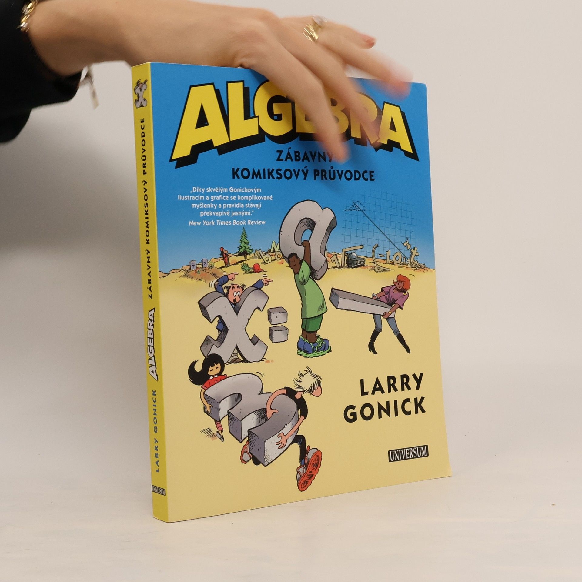 Larry Gonick Algebra. Zábavný komiksový průvodce
