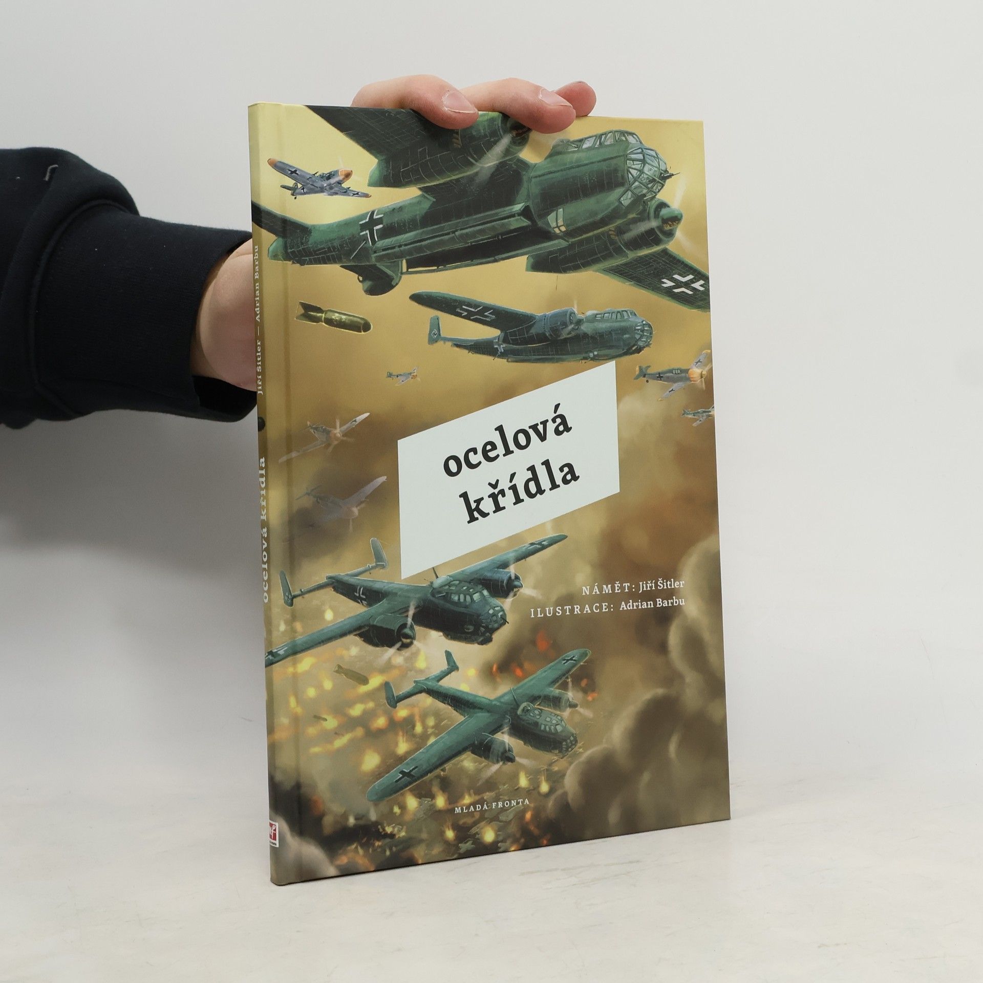 Jiří Šitler Ocelová křídla