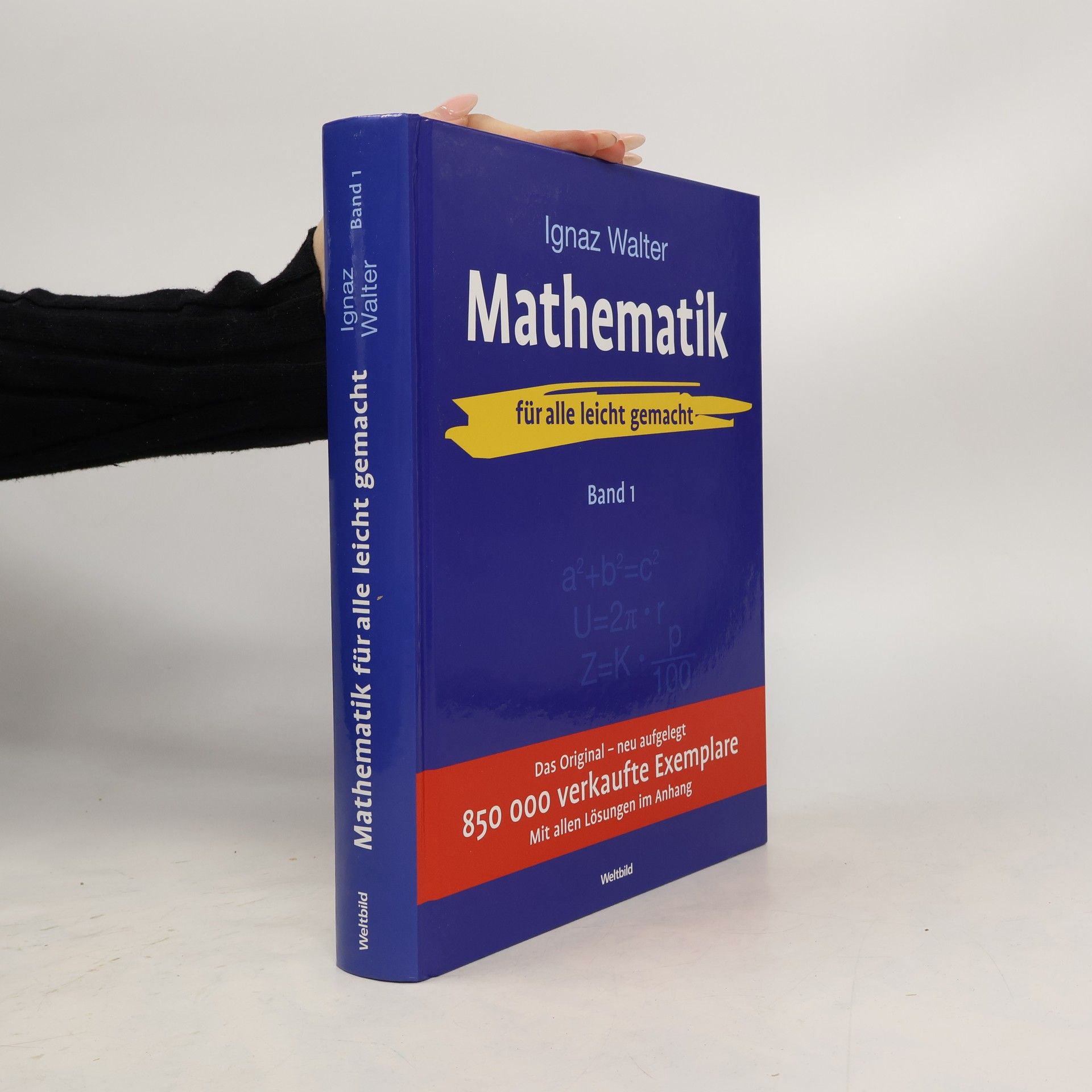 Ignaz Walter Mathematik Band 1 - für alle leicht gemacht