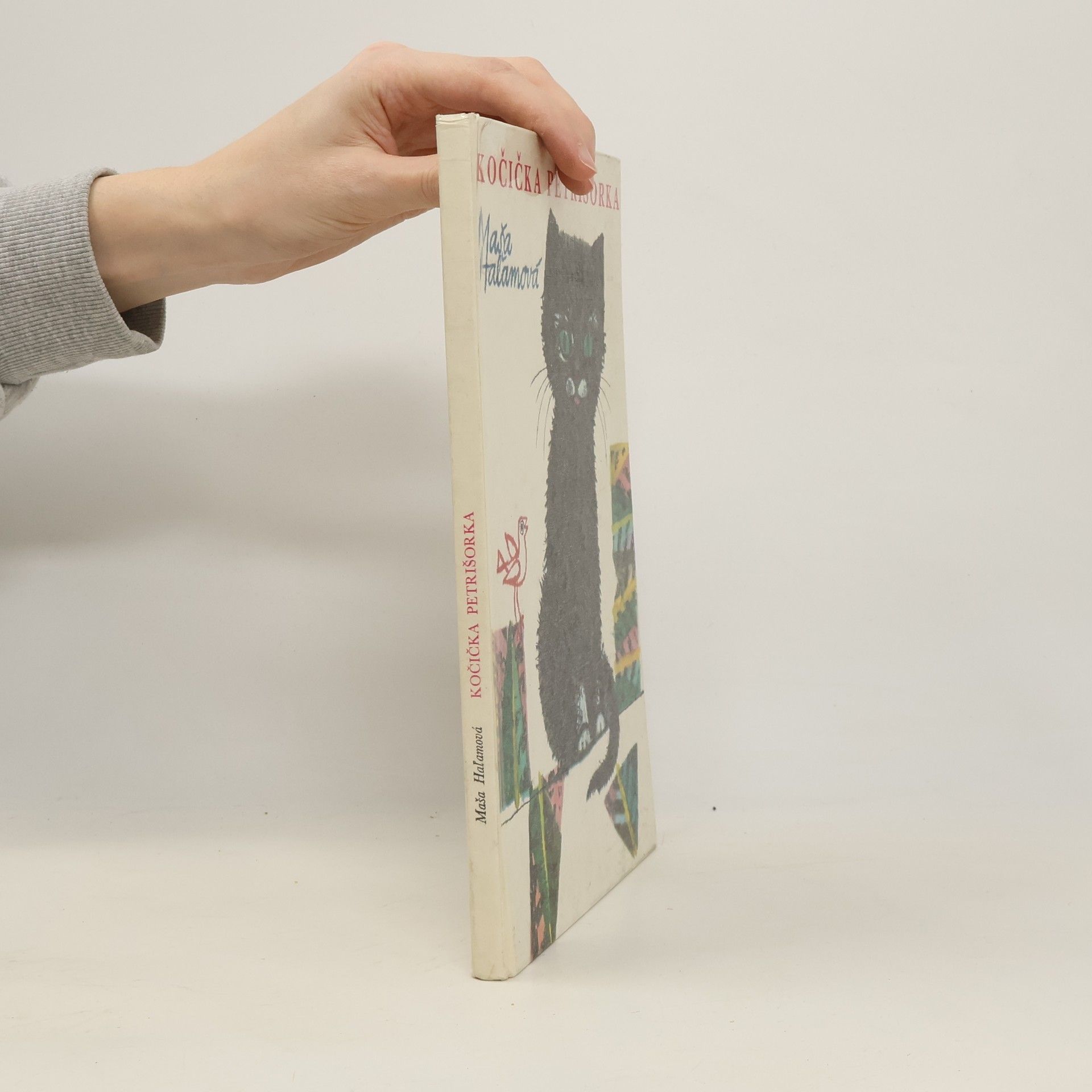 Kočička Petrišorka