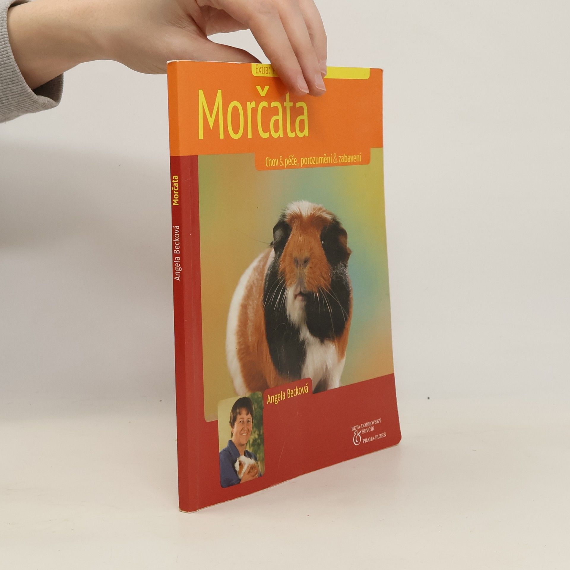Angela Beck Morčata. Chov & péče, porozumění & zabavení