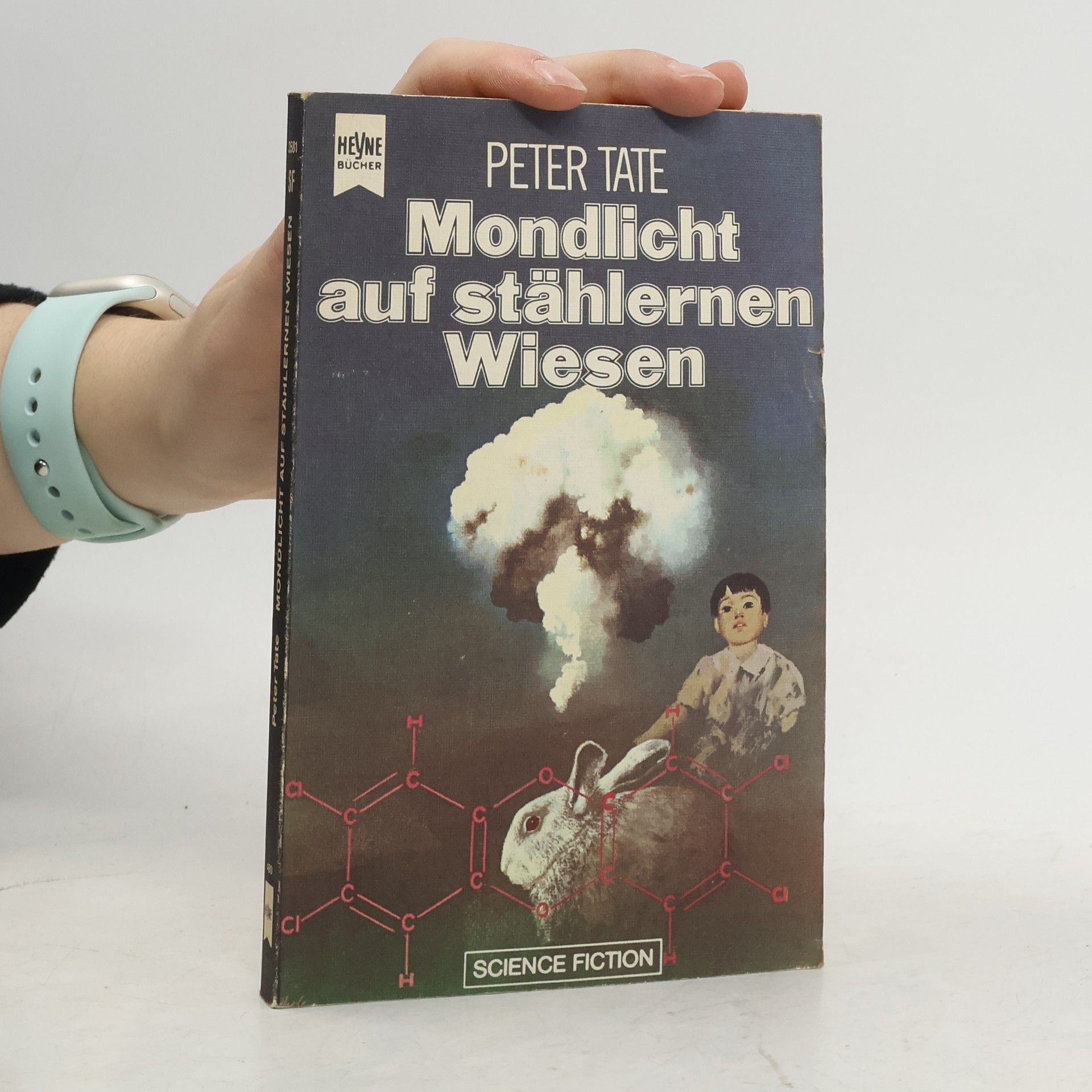 Mondlicht auf stählernen Wiesen