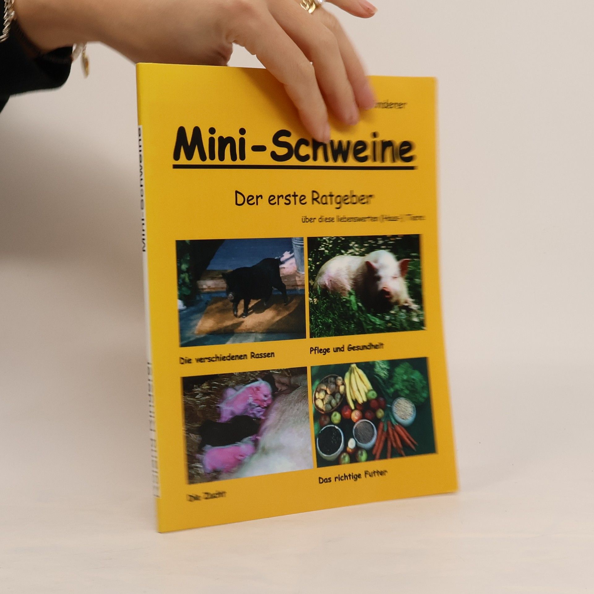 Roland Rinderer Mini-Schweine