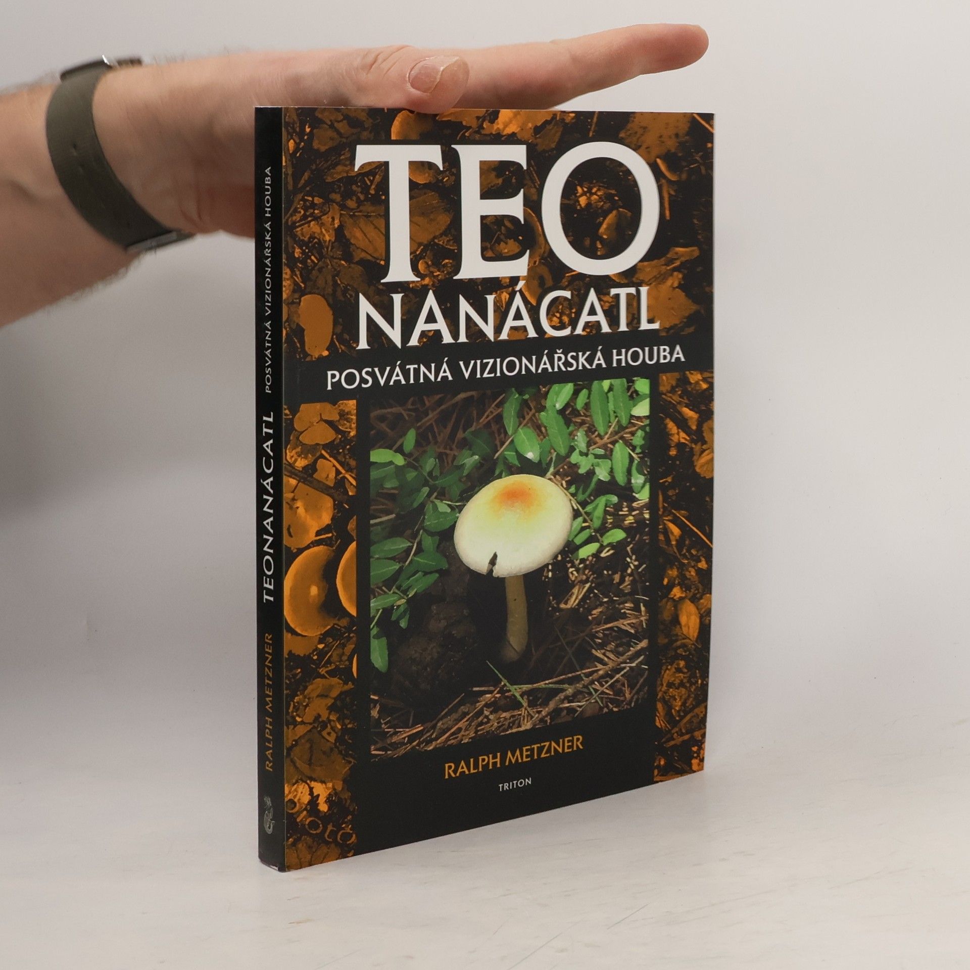 Teonanácatl - Posvátná vizionářská houba