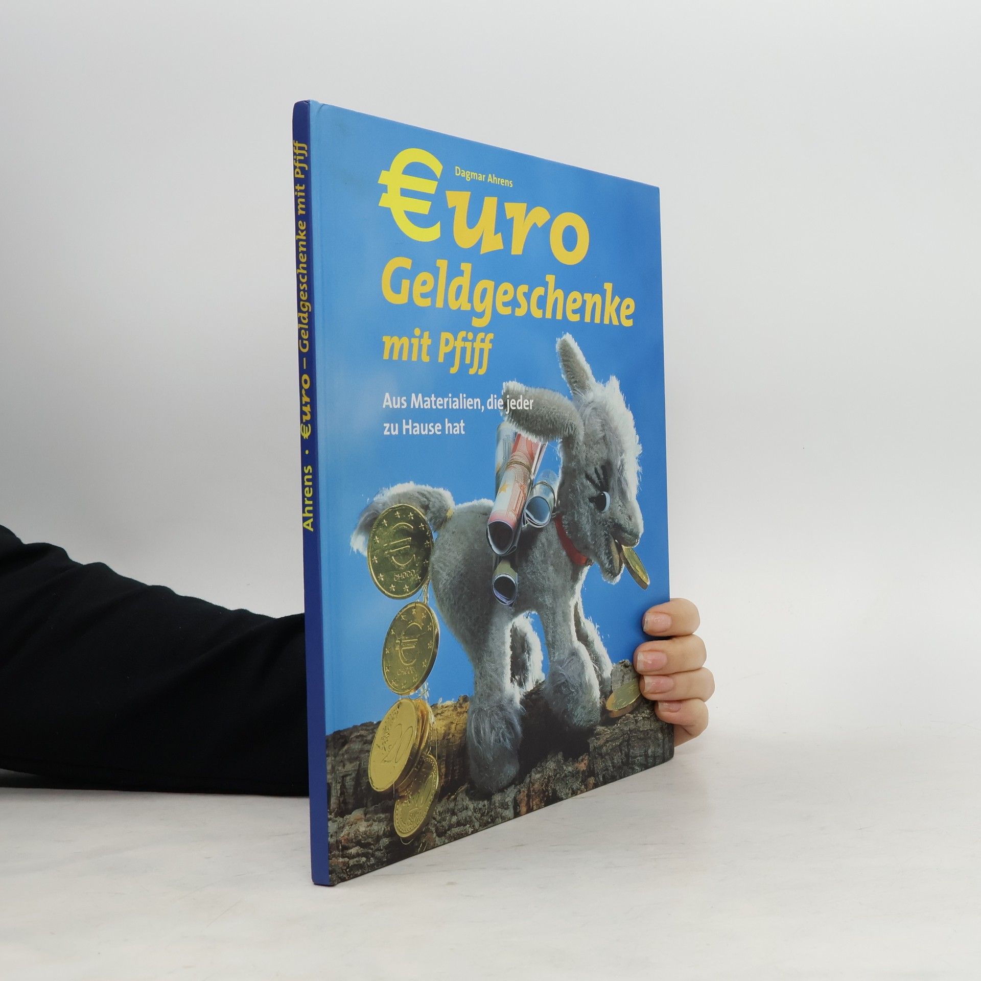 Dagmar Ahrens Euro Geldgeschenke mit Pfiff