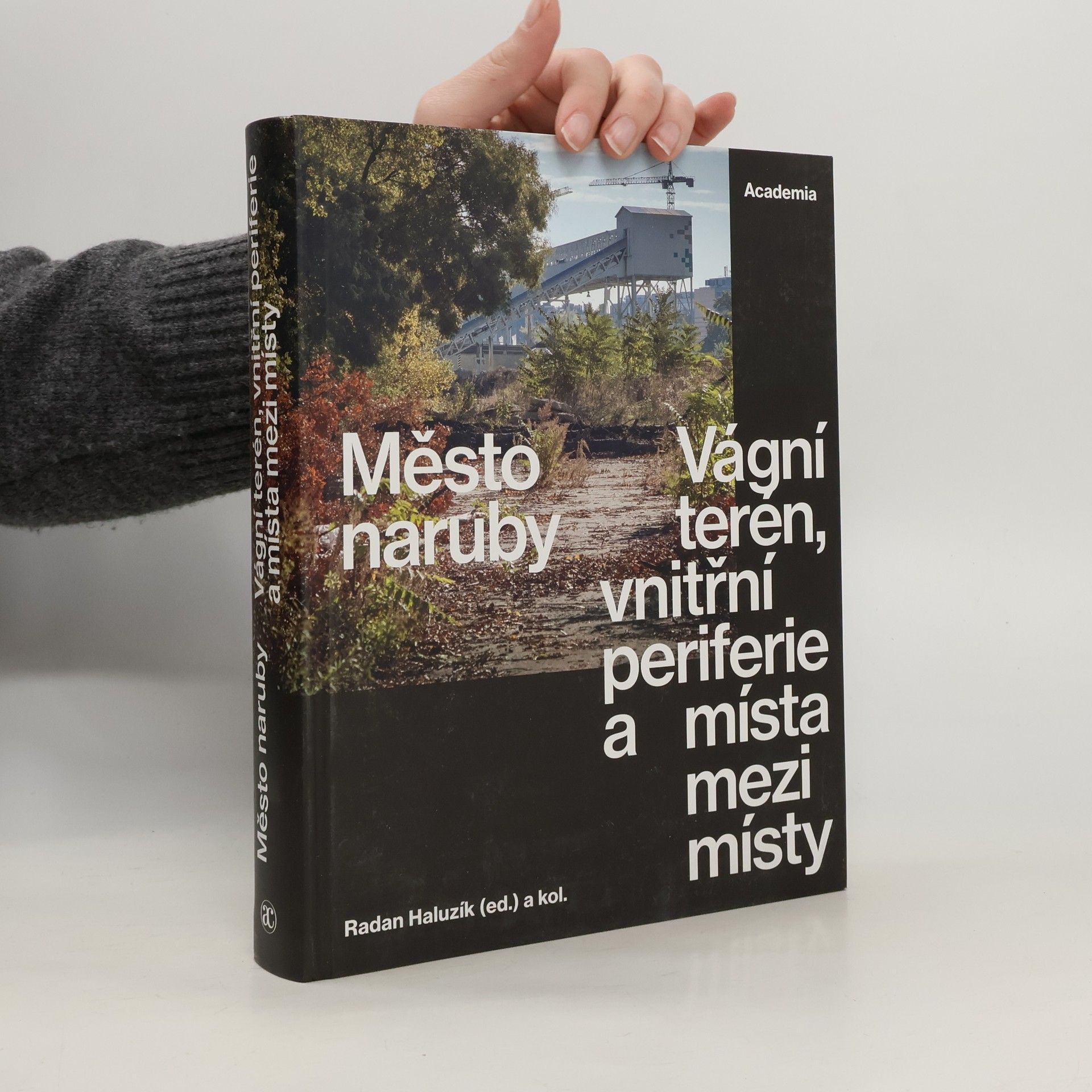 Město naruby : vágní terén, vnitřní periferie a místa mezi místy