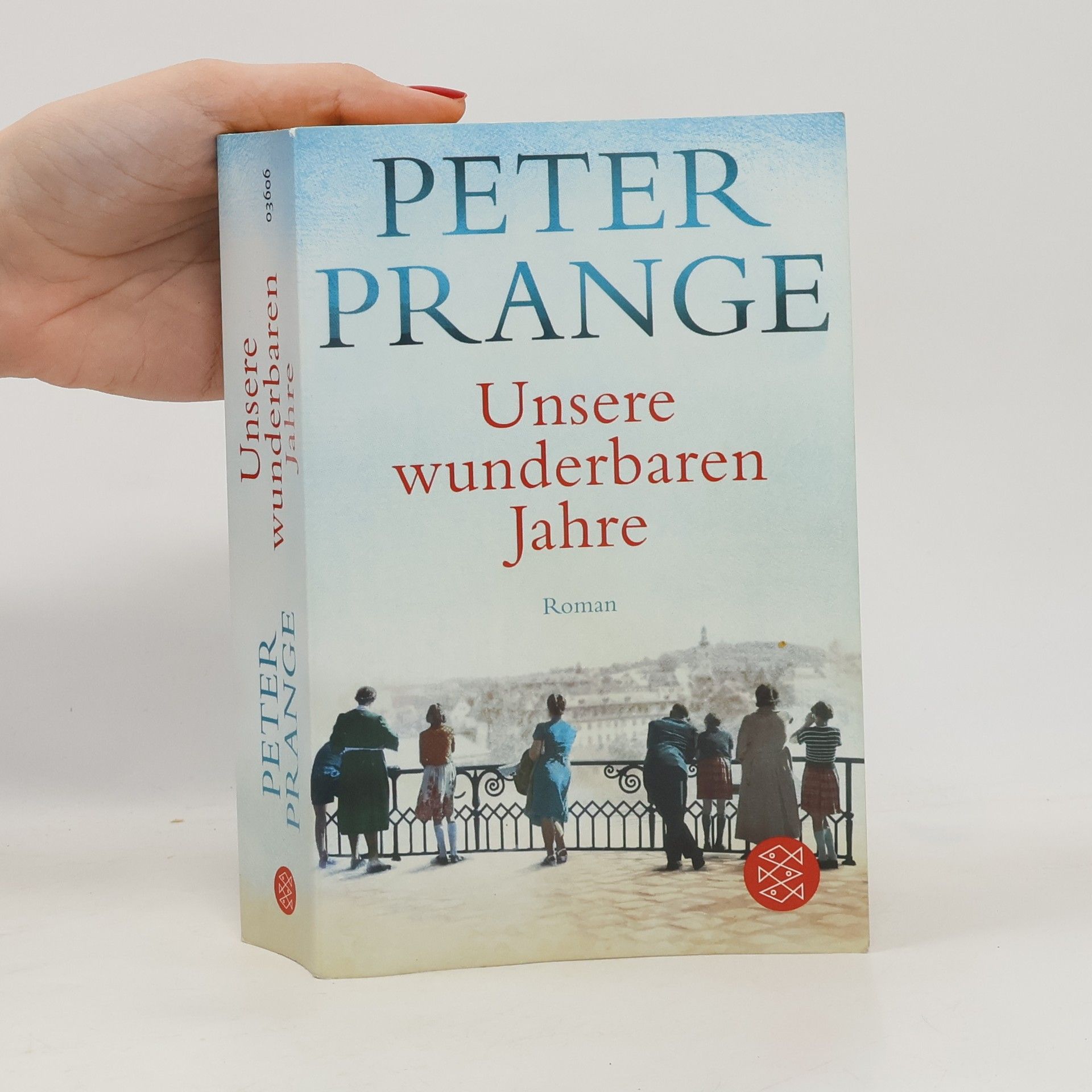 Peter Prange Unsere wunderbaren Jahre