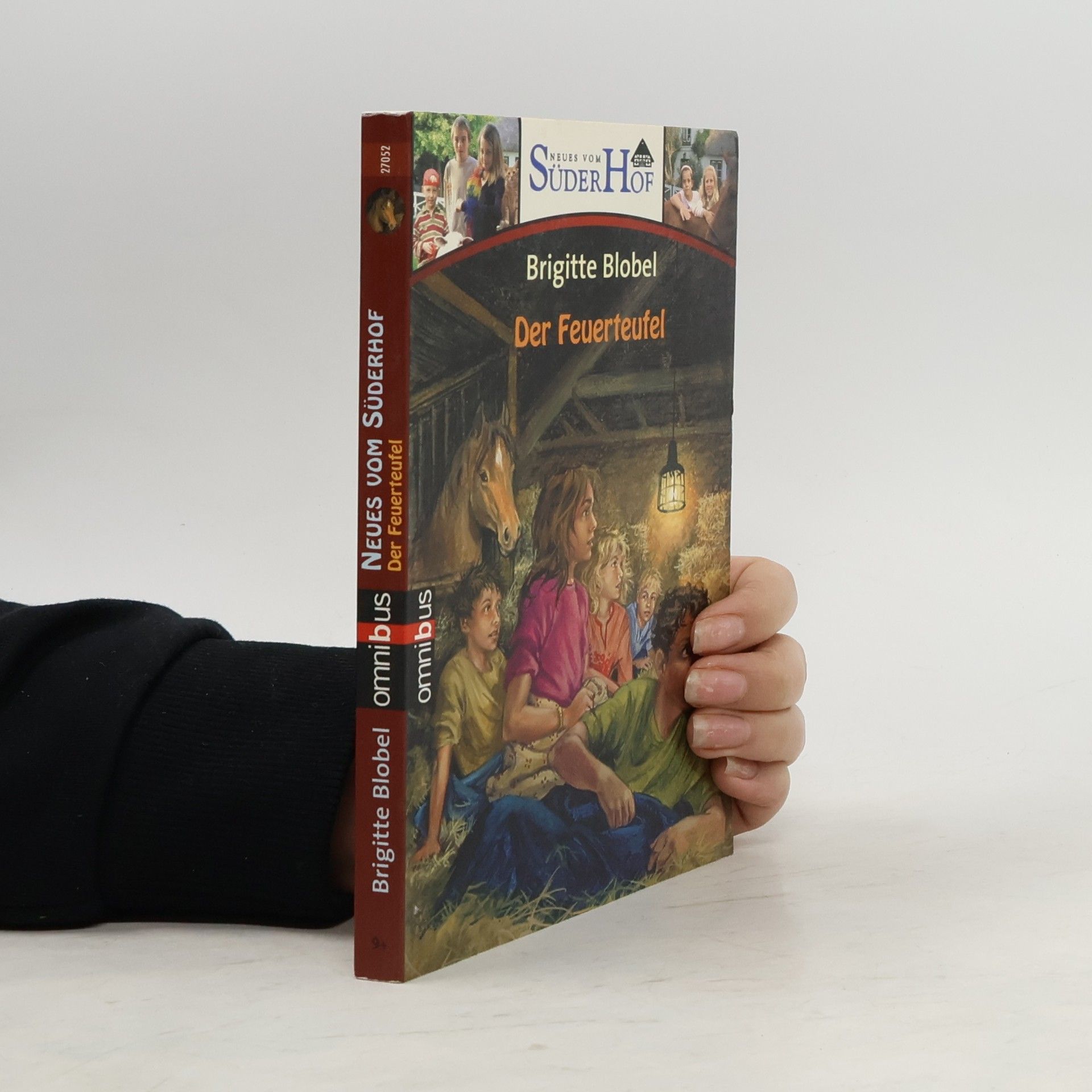 Brigitte Blobel Neues vom Süderhof - 7: Der Feuerteufel