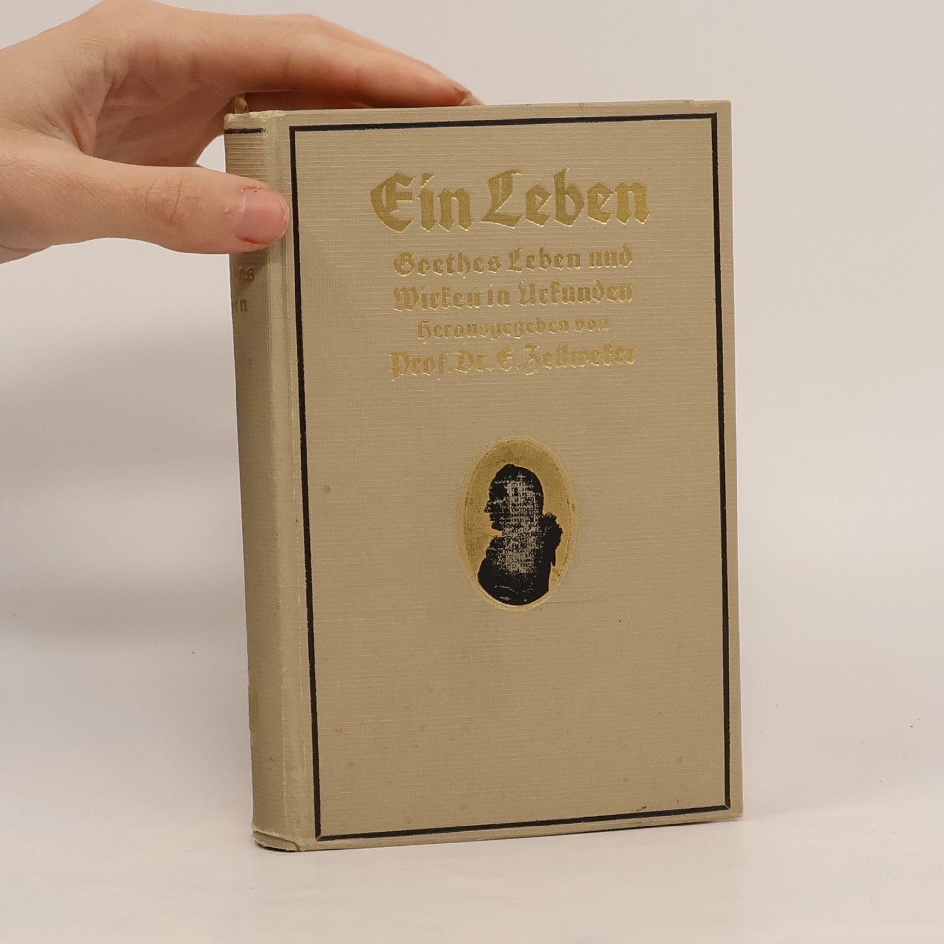Johann Wolfgang von Goethe Ein Leben