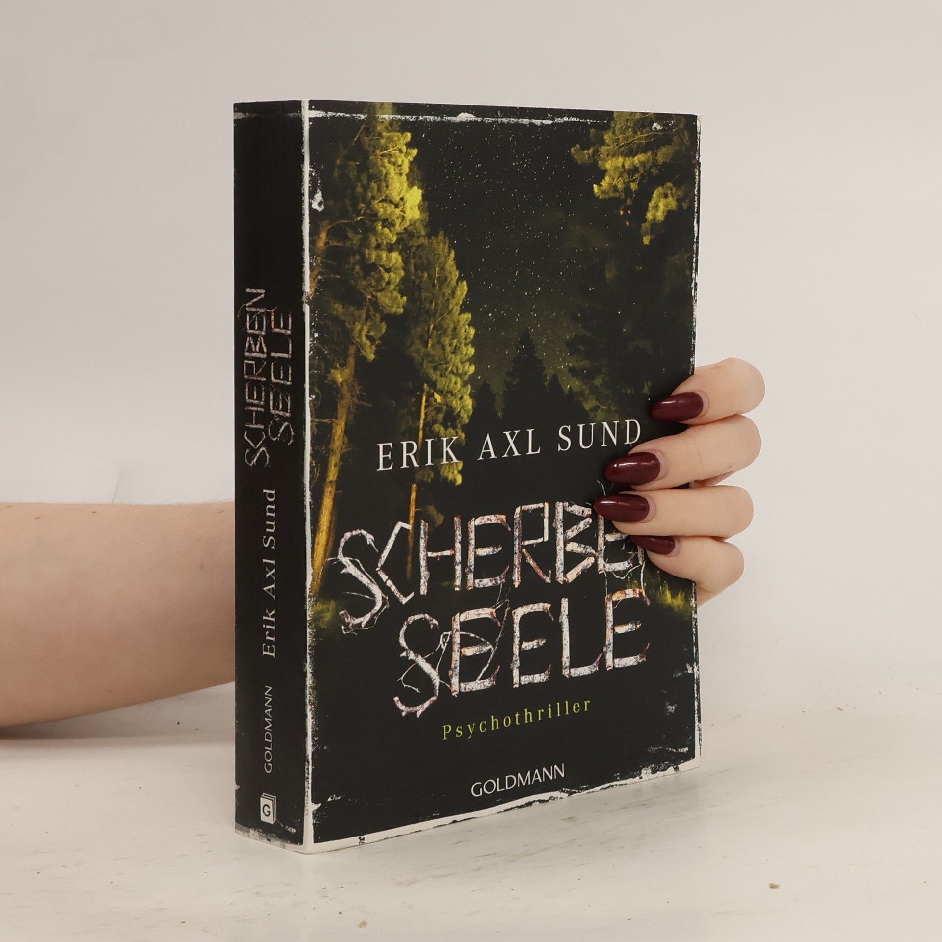 Erik Axl Sund Scherbenseele