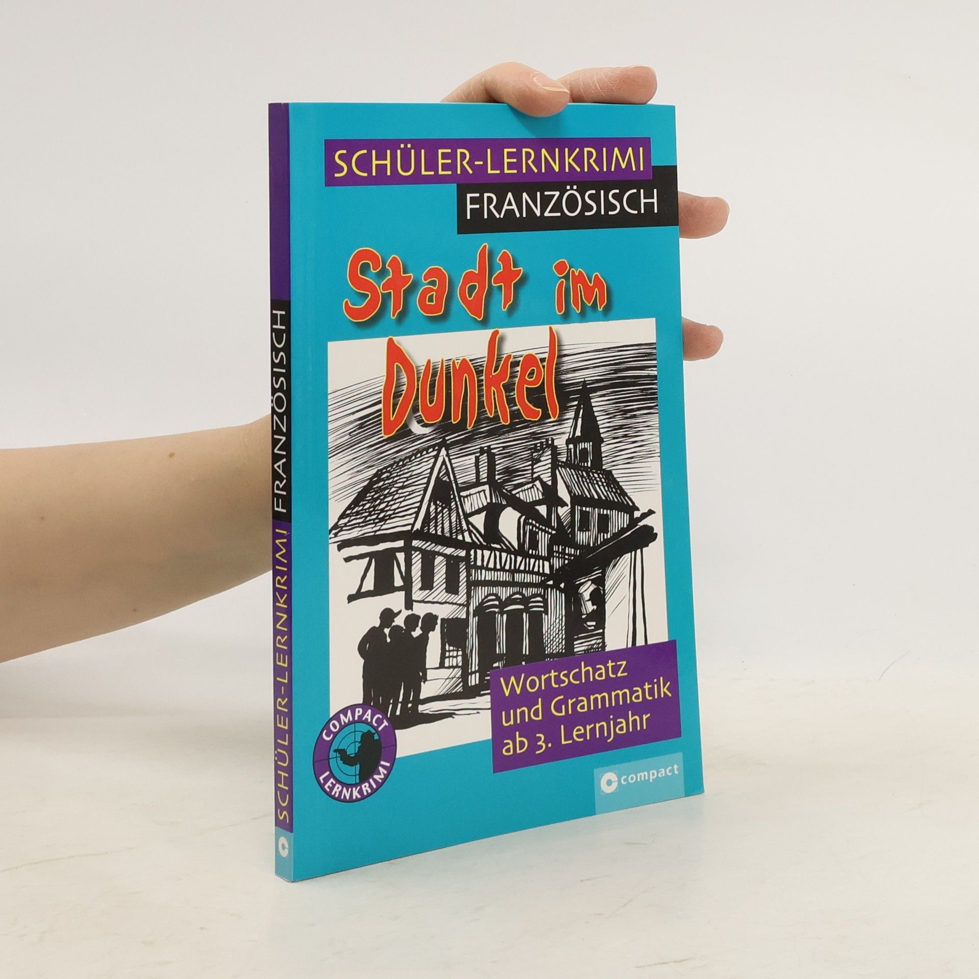 Dorothee dos Santos Domingos Schüler-Lernkrimi Französisch: Stadt im Dunkel