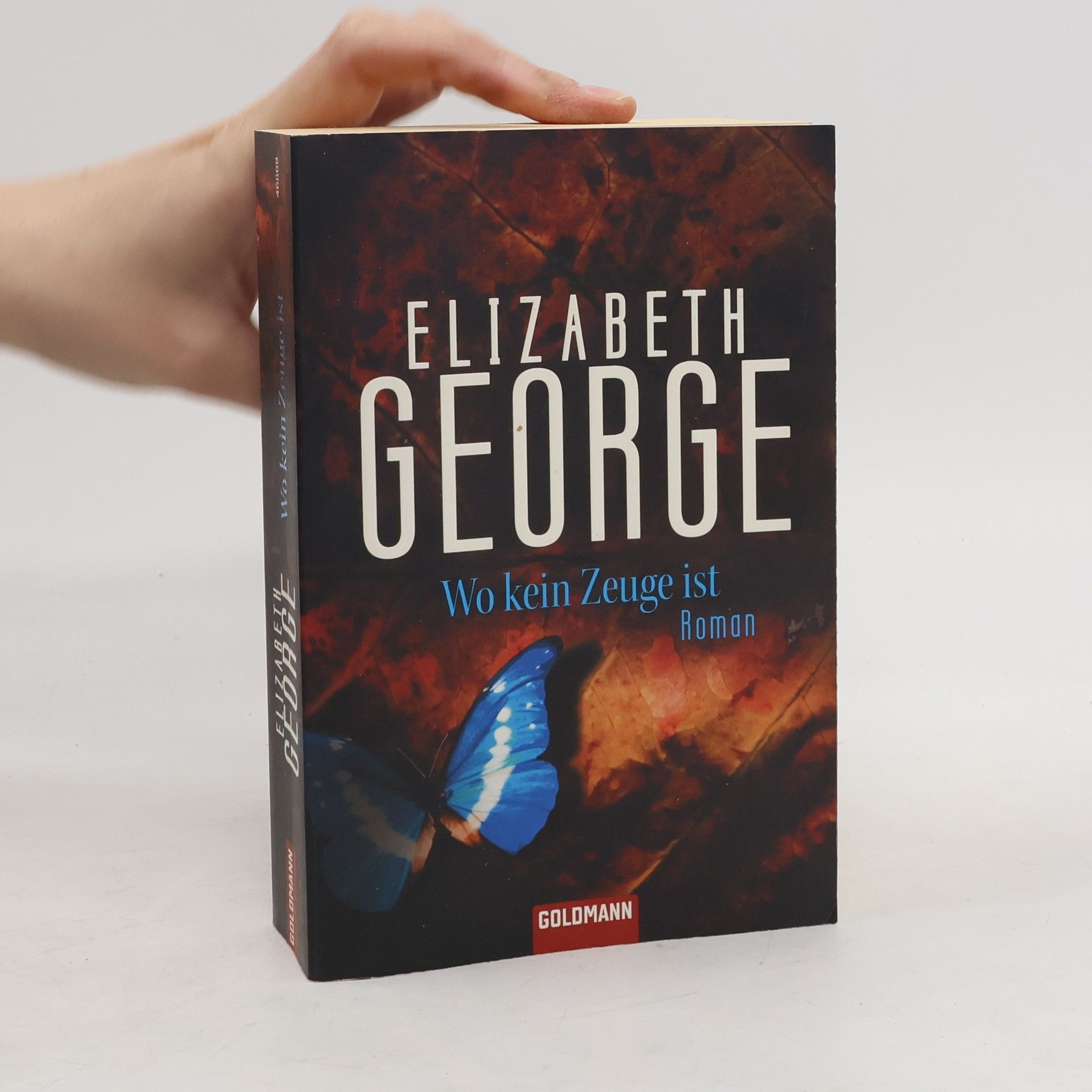 Elizabeth George Wo kein Zeuge ist