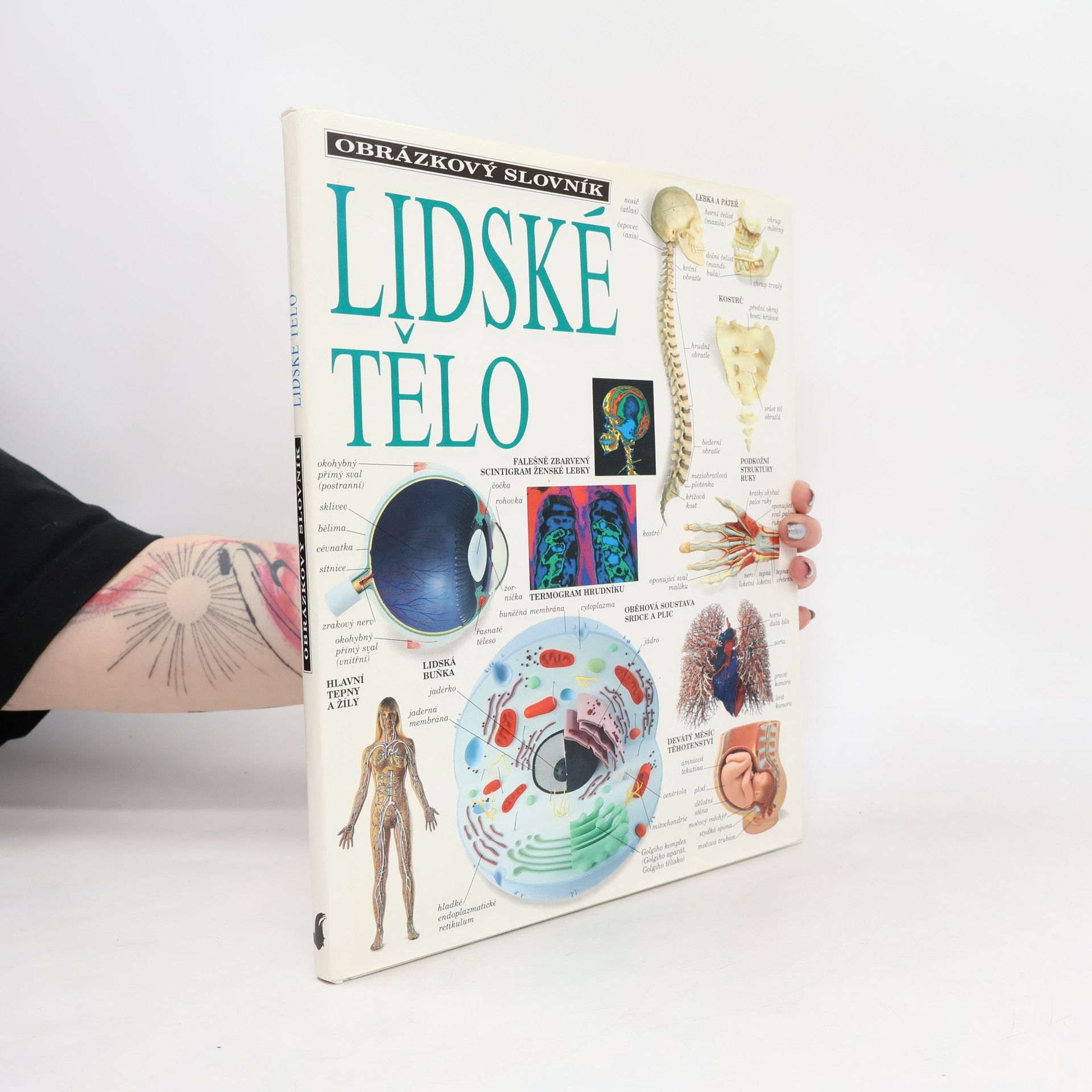 Jozef Kluge Lidské tělo: Obrázkový slovník