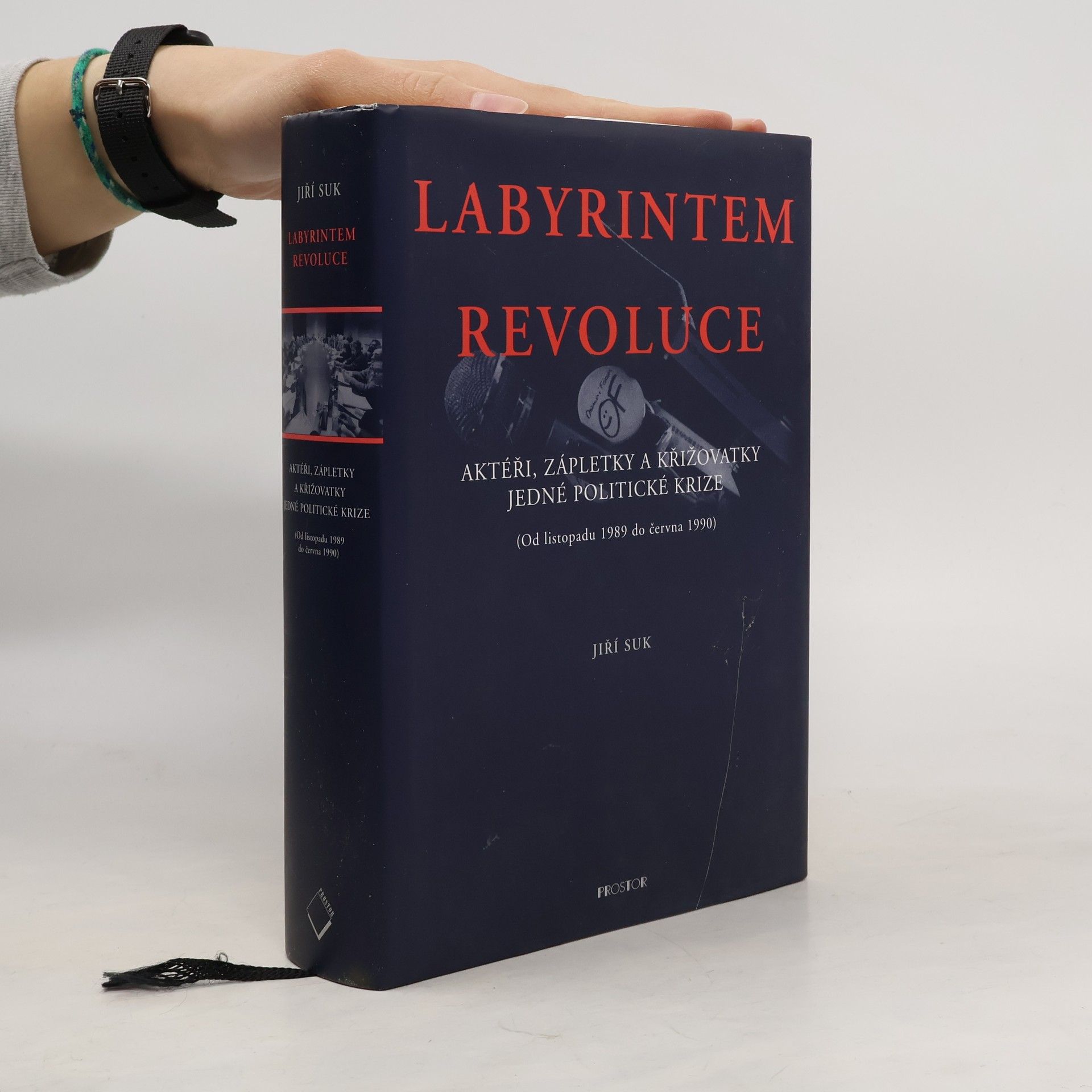 Labyrintem revoluce. Aktéři, zápletky a křižovatky jedné politické krize (od listopadu 1989 do června 1990)