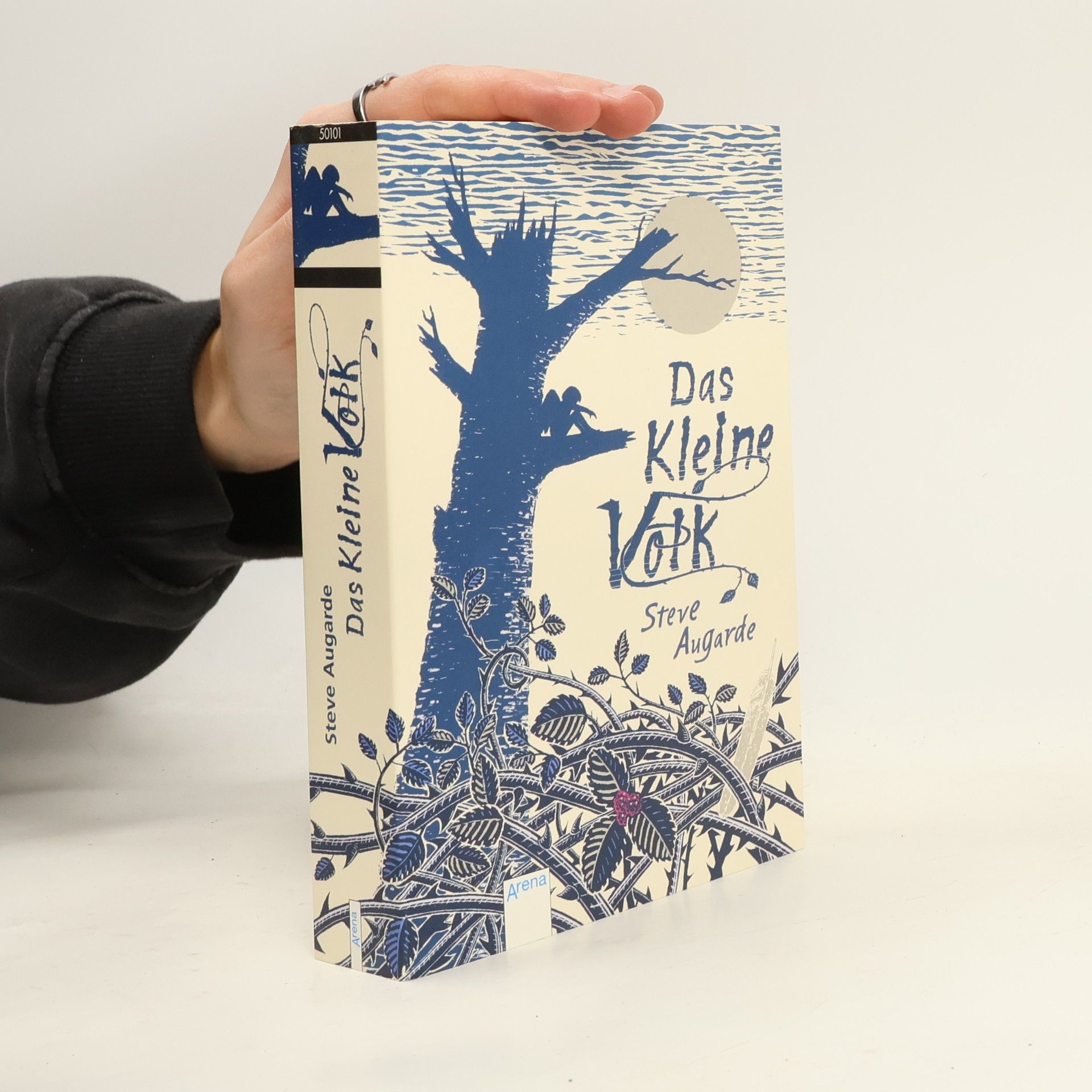 Steve Augarde Das kleine Volk