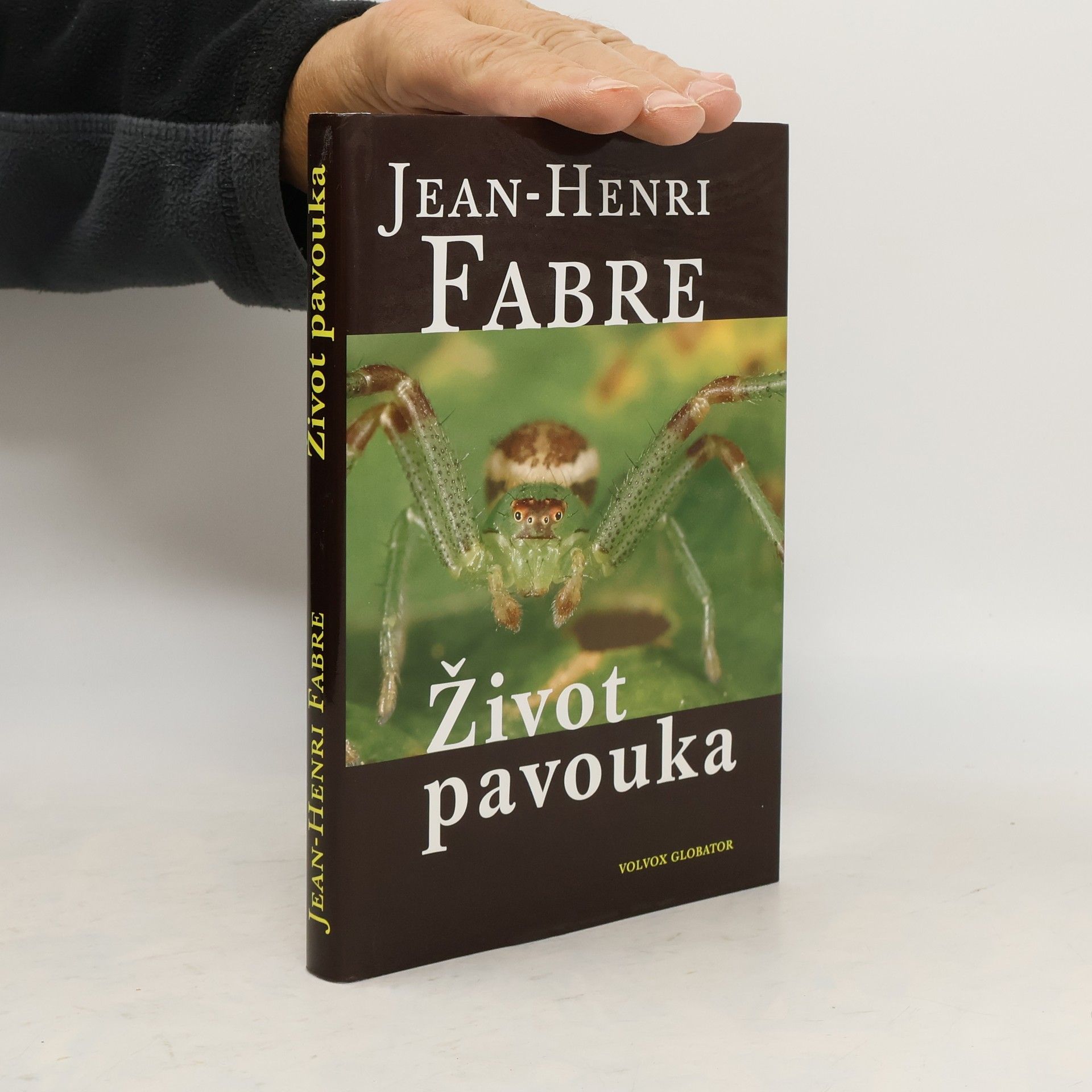 Jean Henri Fabre Život pavouka