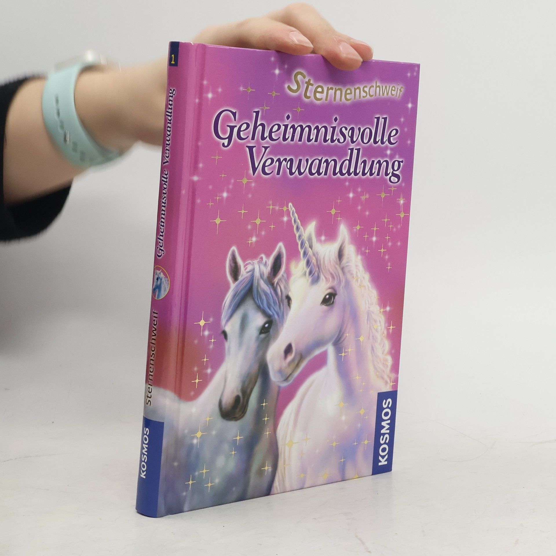 Linda Chapman Geheimnisvolle Verwandlung