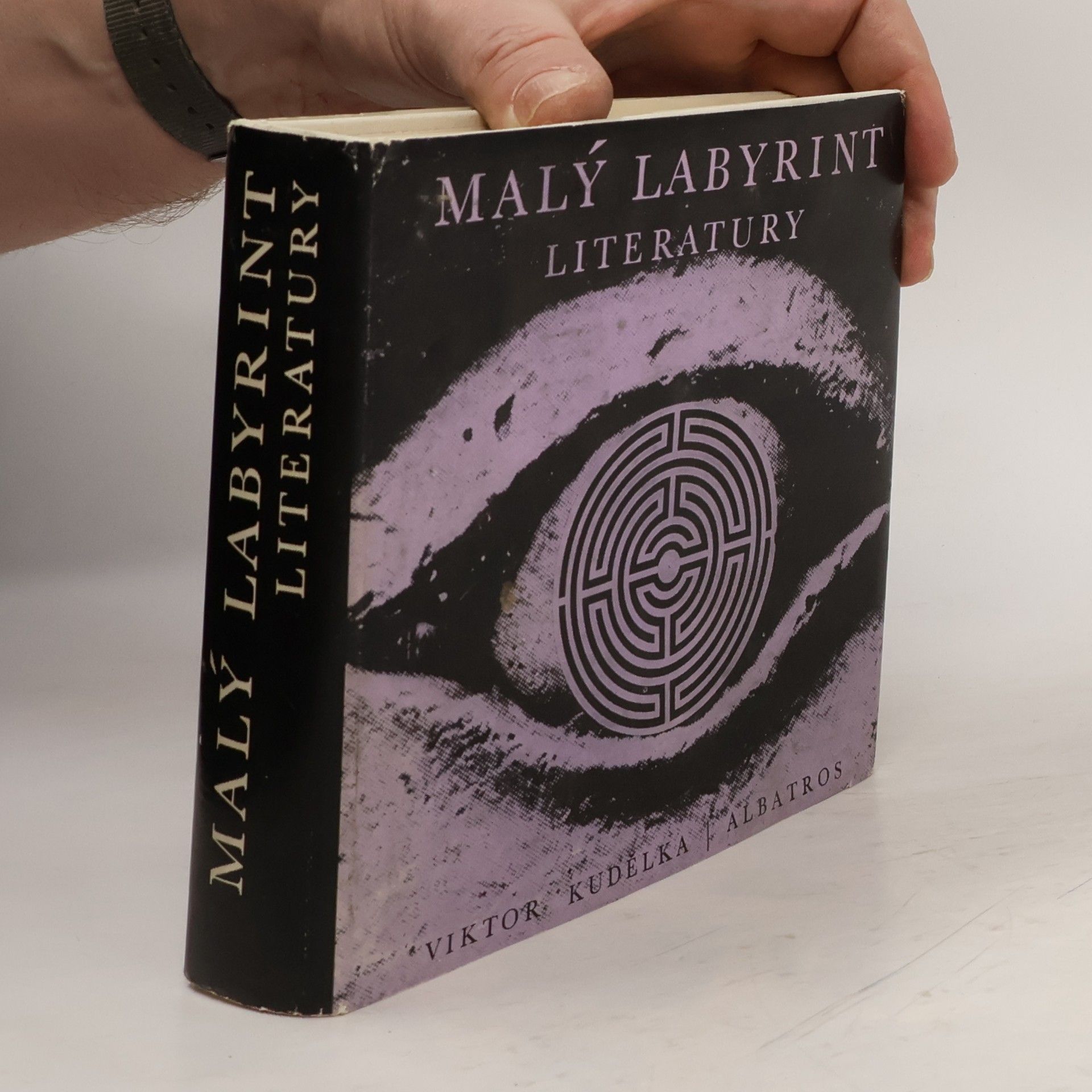 Viktor Kudělka Malý labyrint literatury