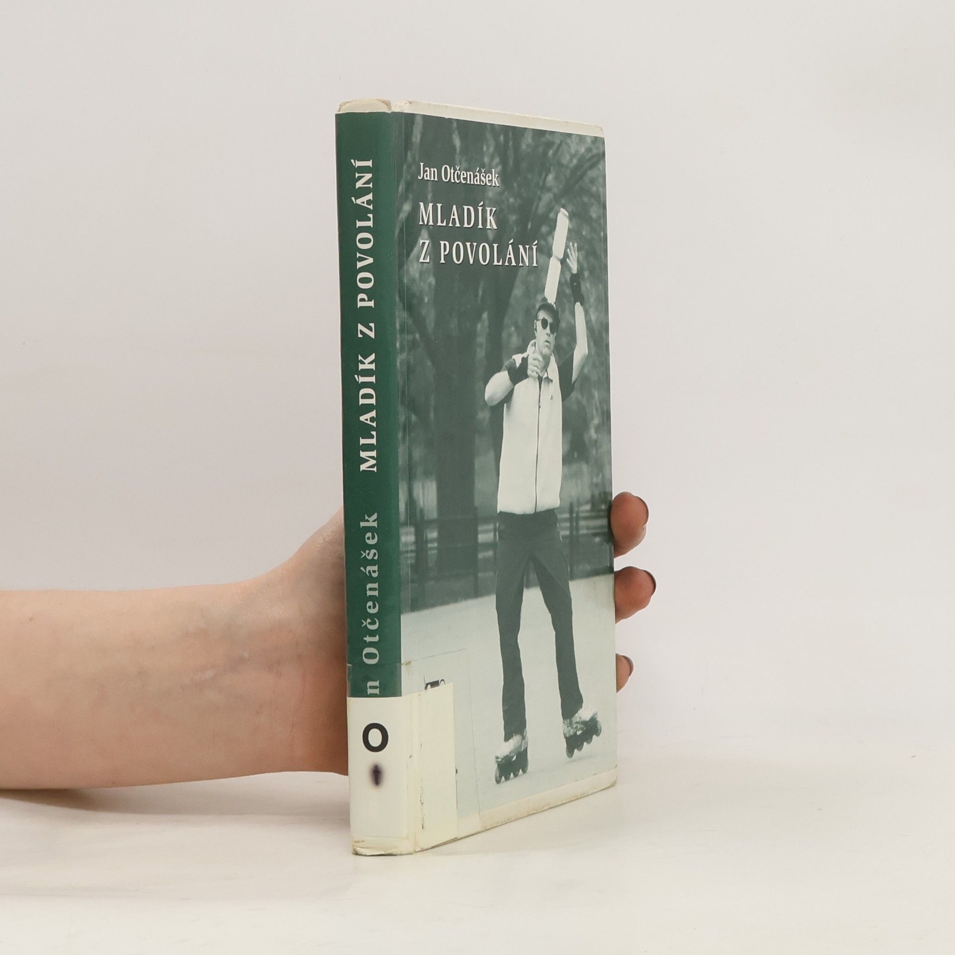 Mladík z povolání