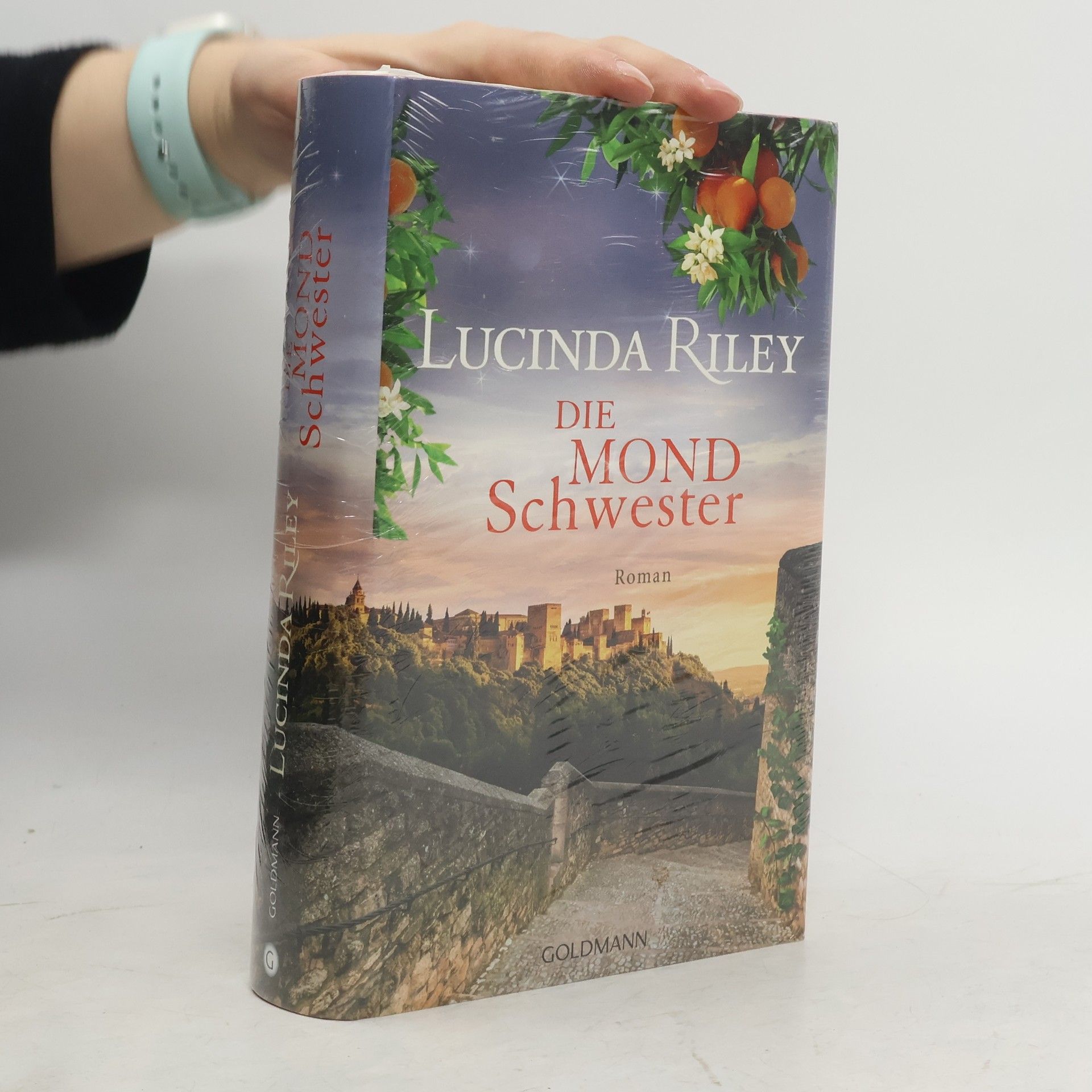 Lucinda Riley Die Sturm Schwester
