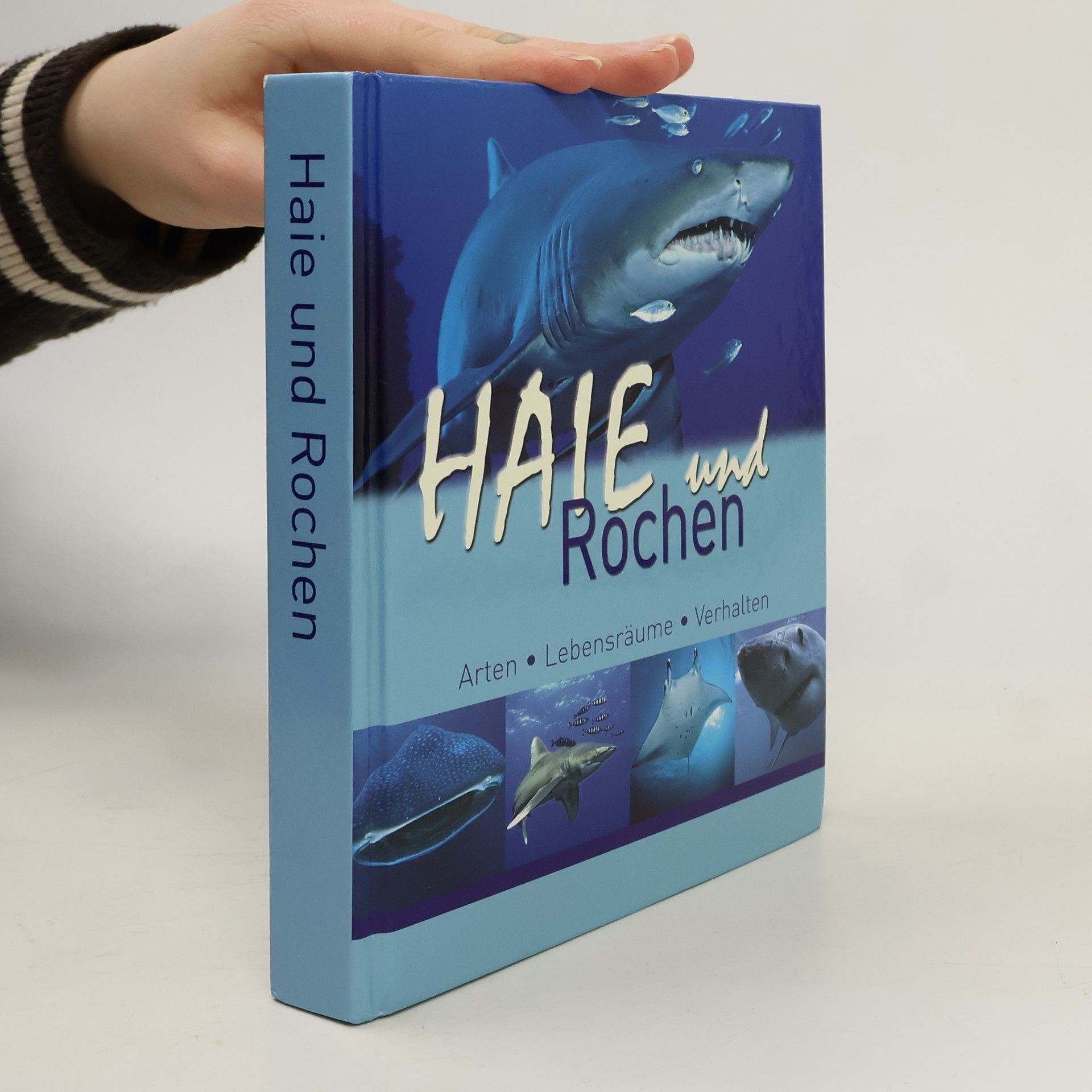 Auteurscollectief Haie und Rochen