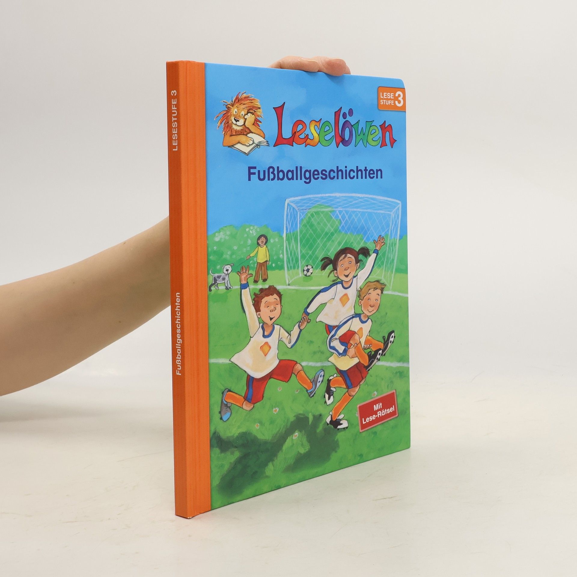 Autorenkollektiv Leselöwen: Fußballgeschichten
