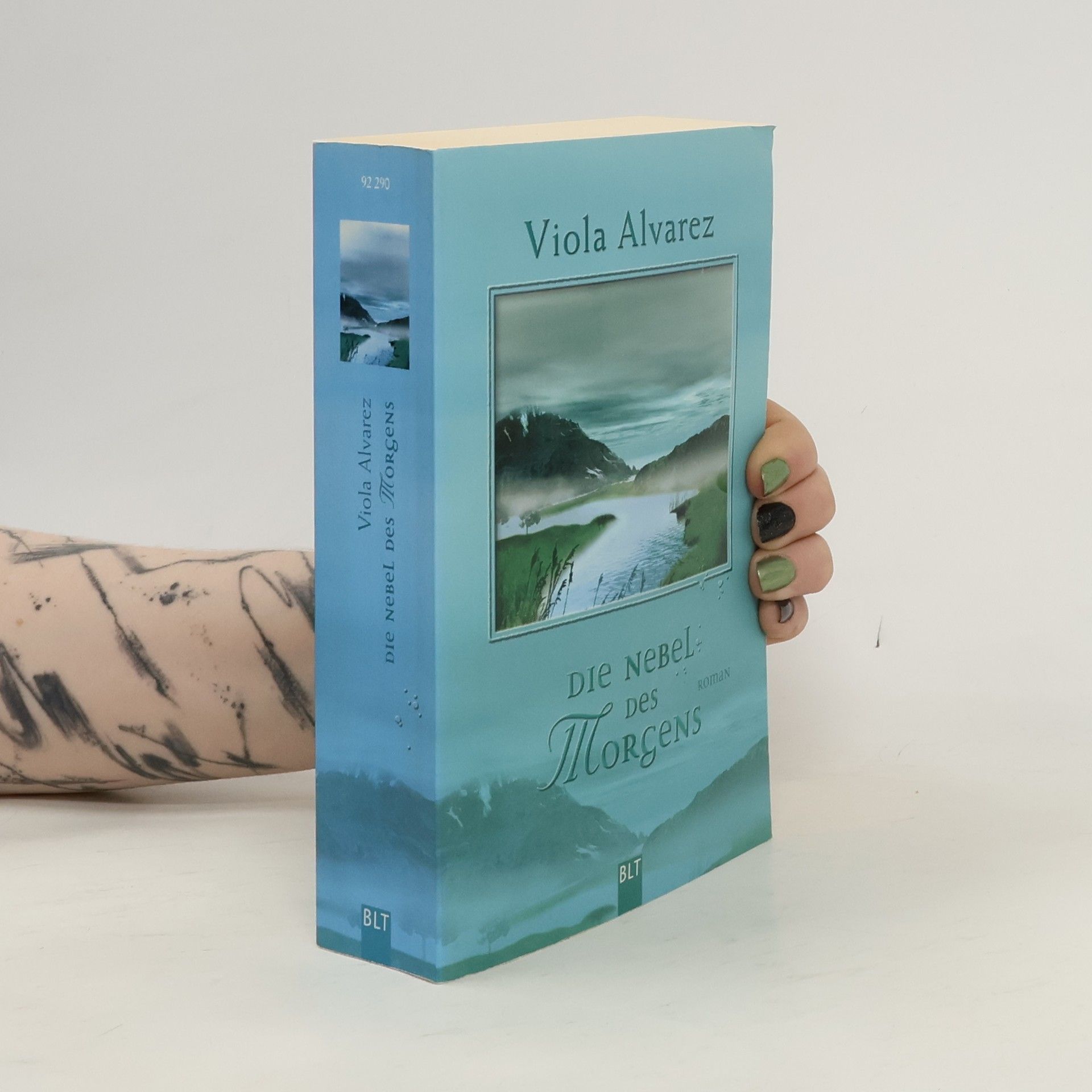 Viola Alvarez Die Nebel des Morgens