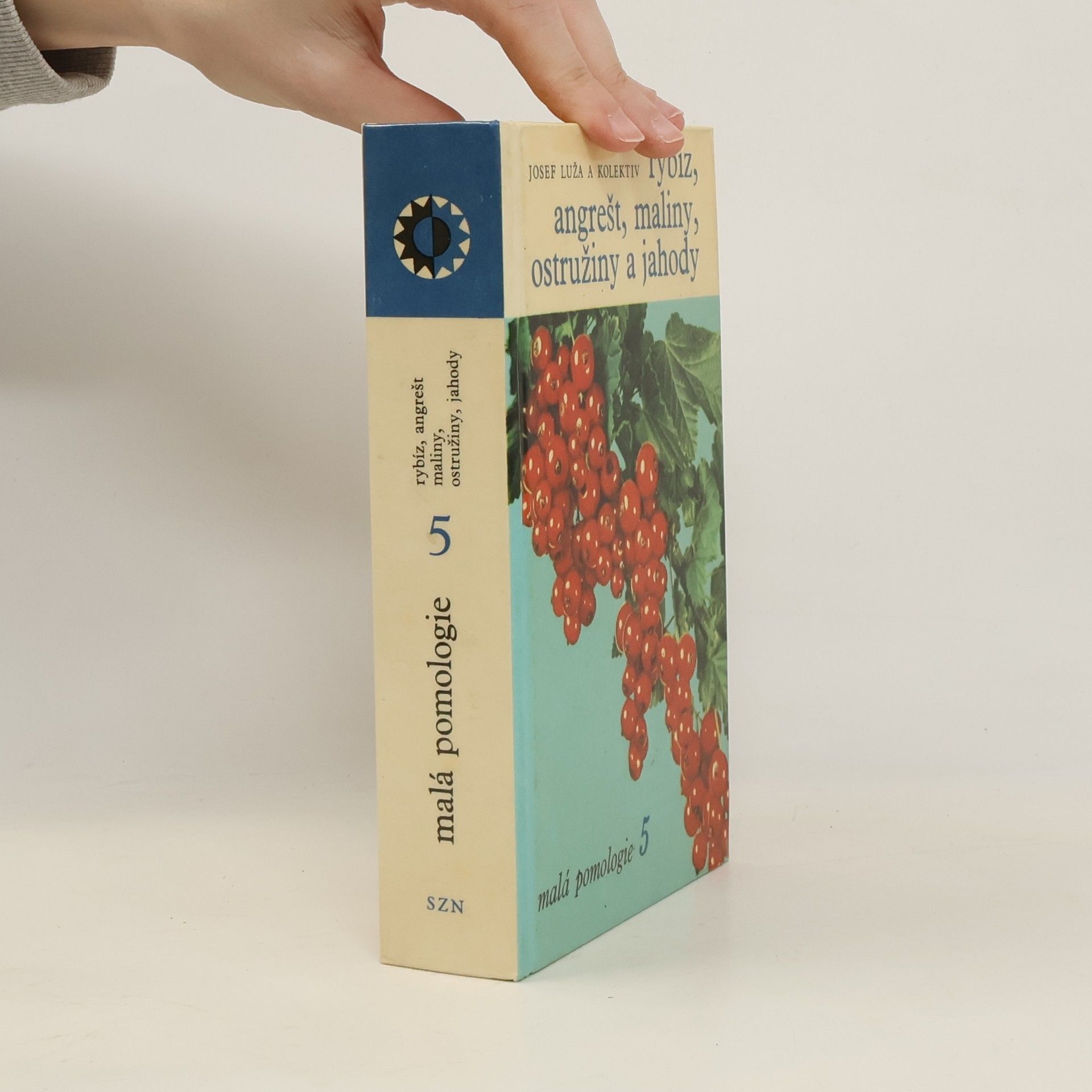 Malá pomologie 5. Rybíz, angrešt, maliny, ostružiny a jahody