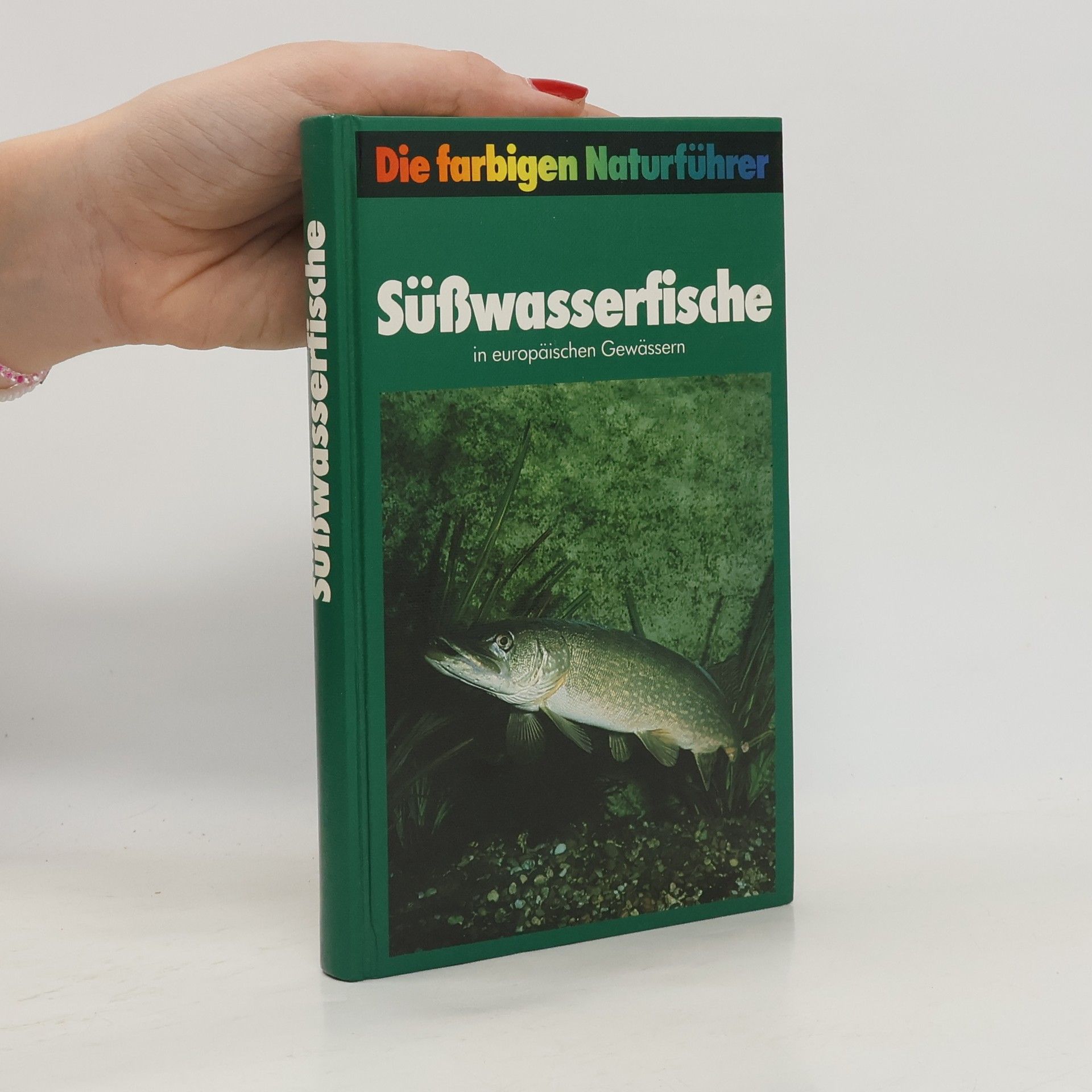 Autorenkollektiv Süßwasserfische in europäischen Gewässern