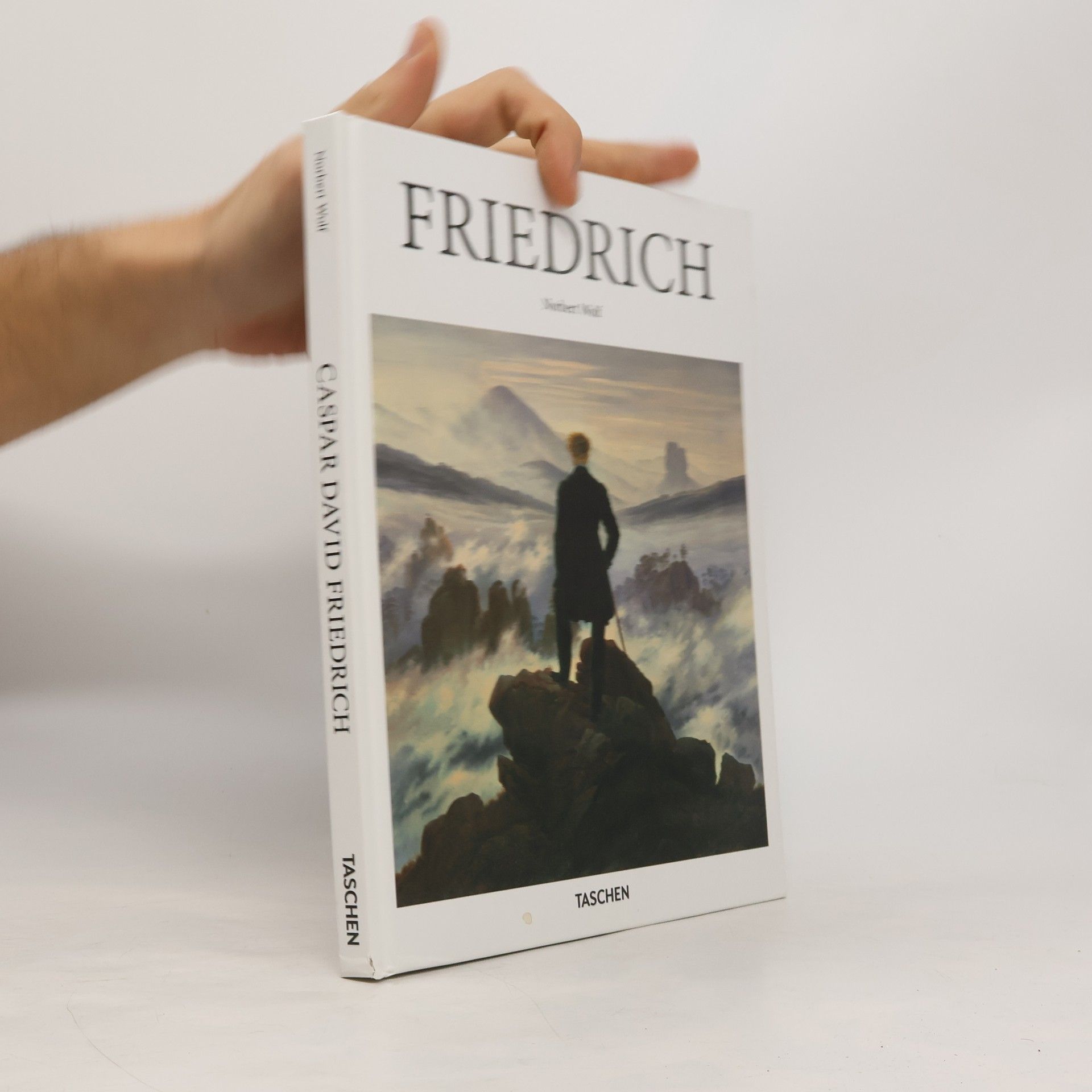 Norbert Wolf Friedrich