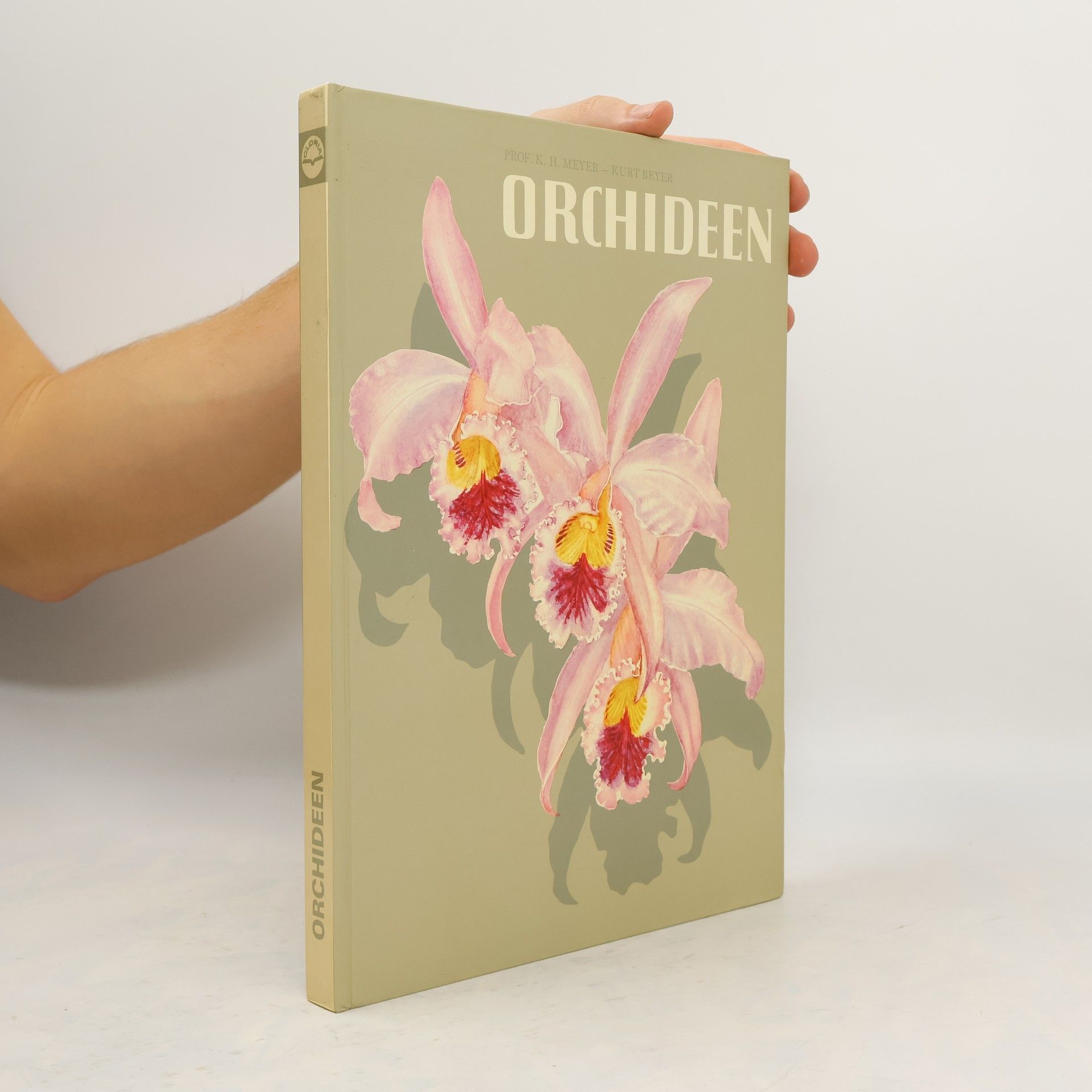 K. H. Meyer Orchideen