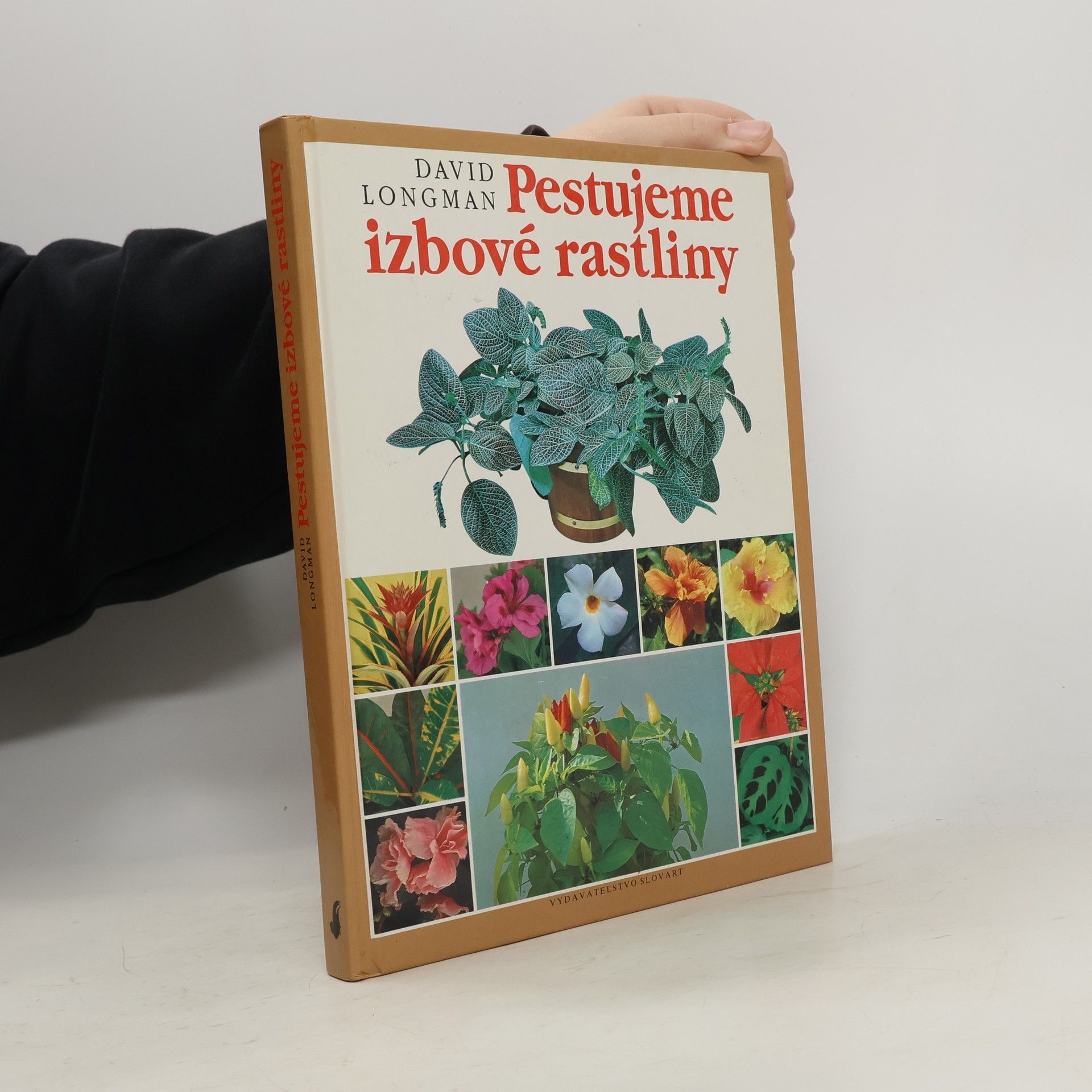 David Longman Pestujeme izbové rastliny