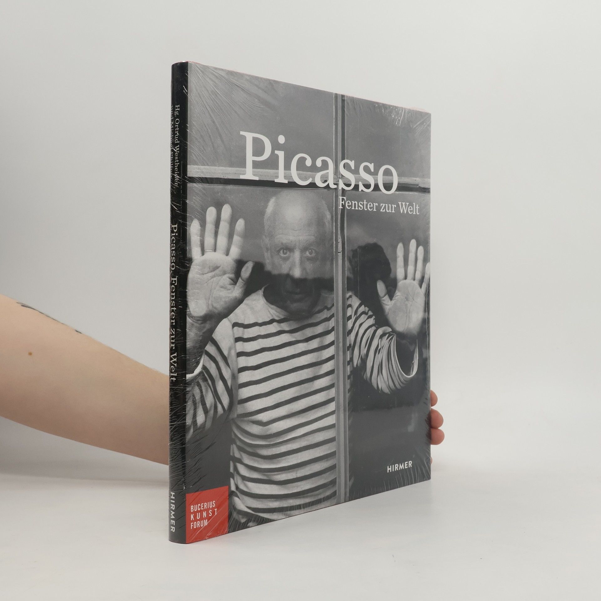 E. milie Bouvard Picasso, Fenster zur Welt