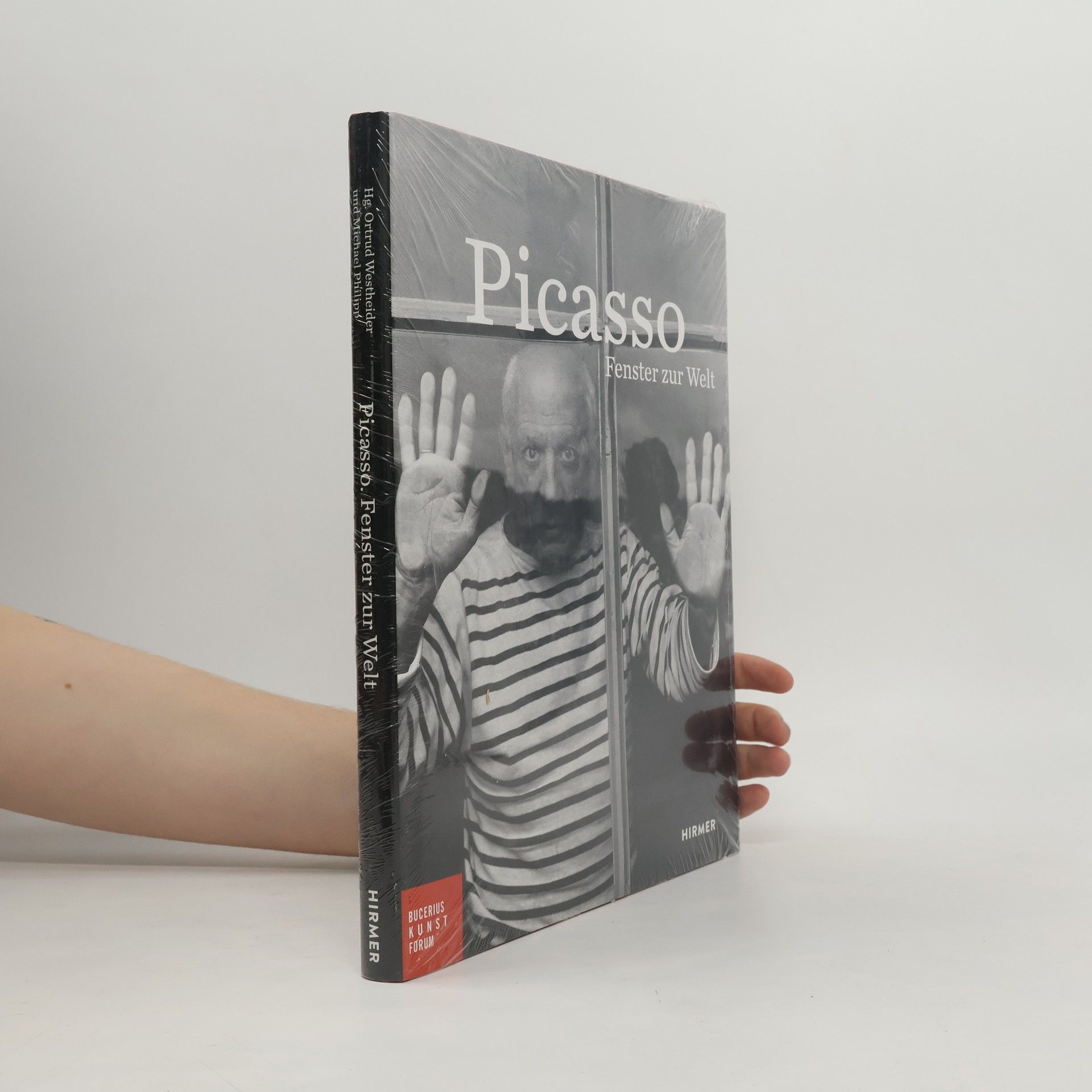 E. milie Bouvard Picasso, Fenster zur Welt